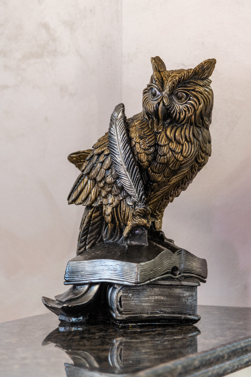 Фото Сова Беседы