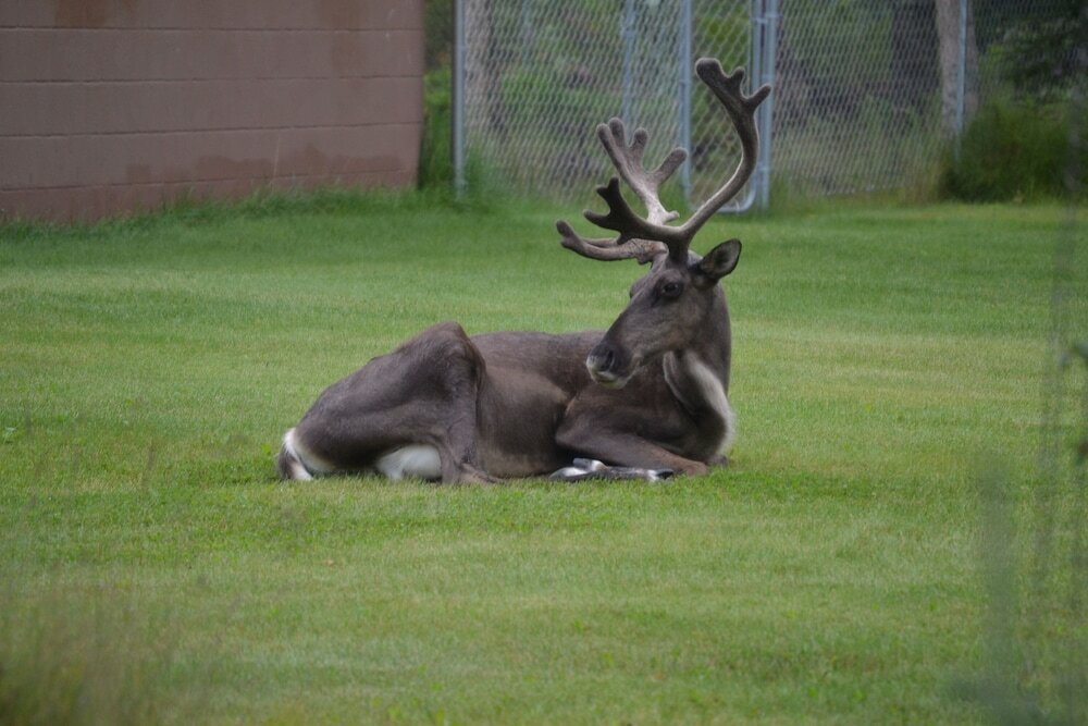 Фото AllSeasons Bed & Breakfast