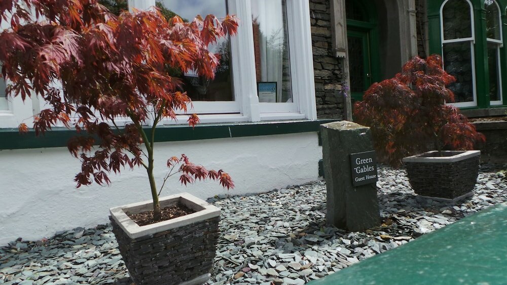 Фото Green Gables Guest House