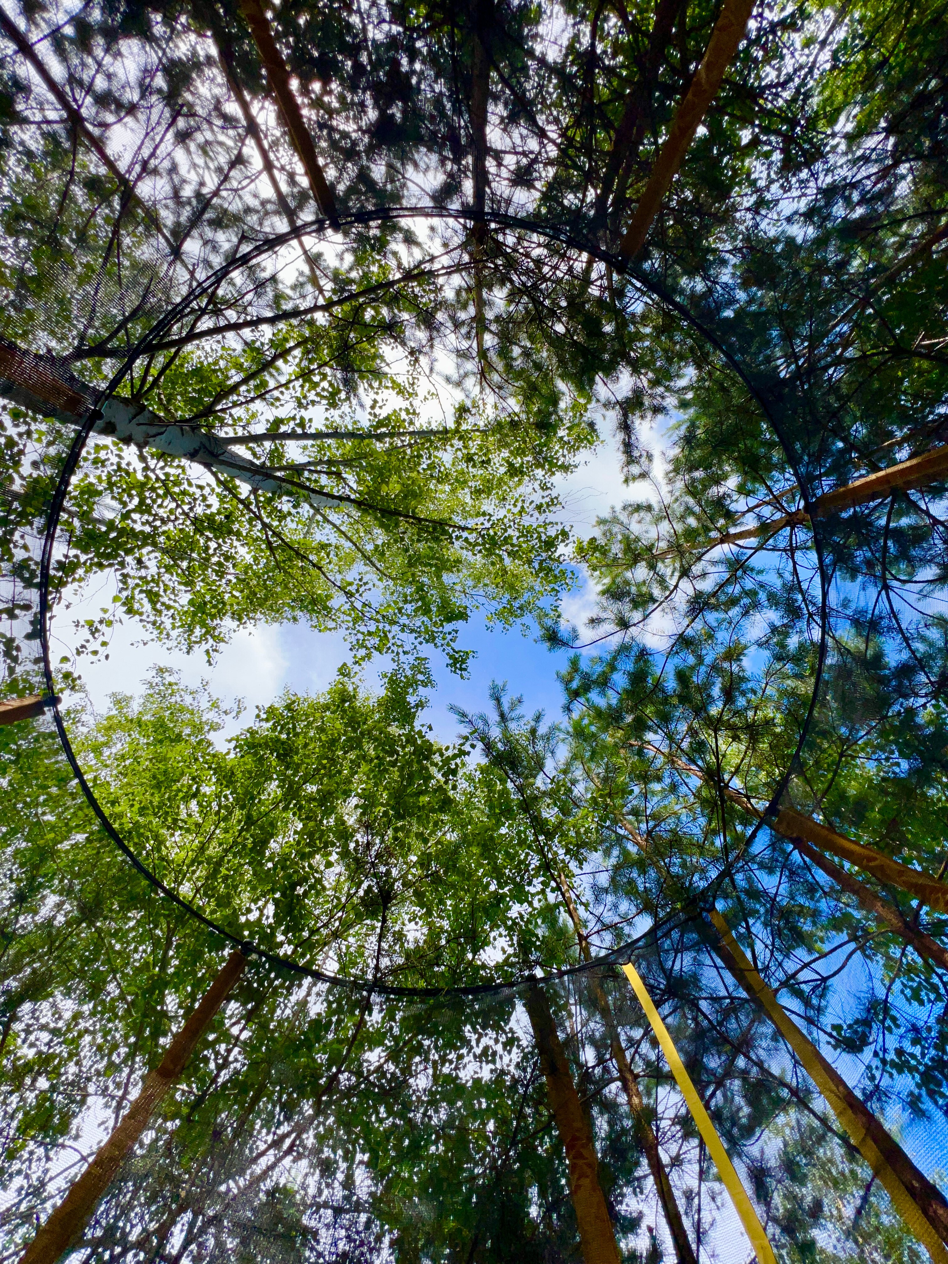 Фото Дом в заповеднике