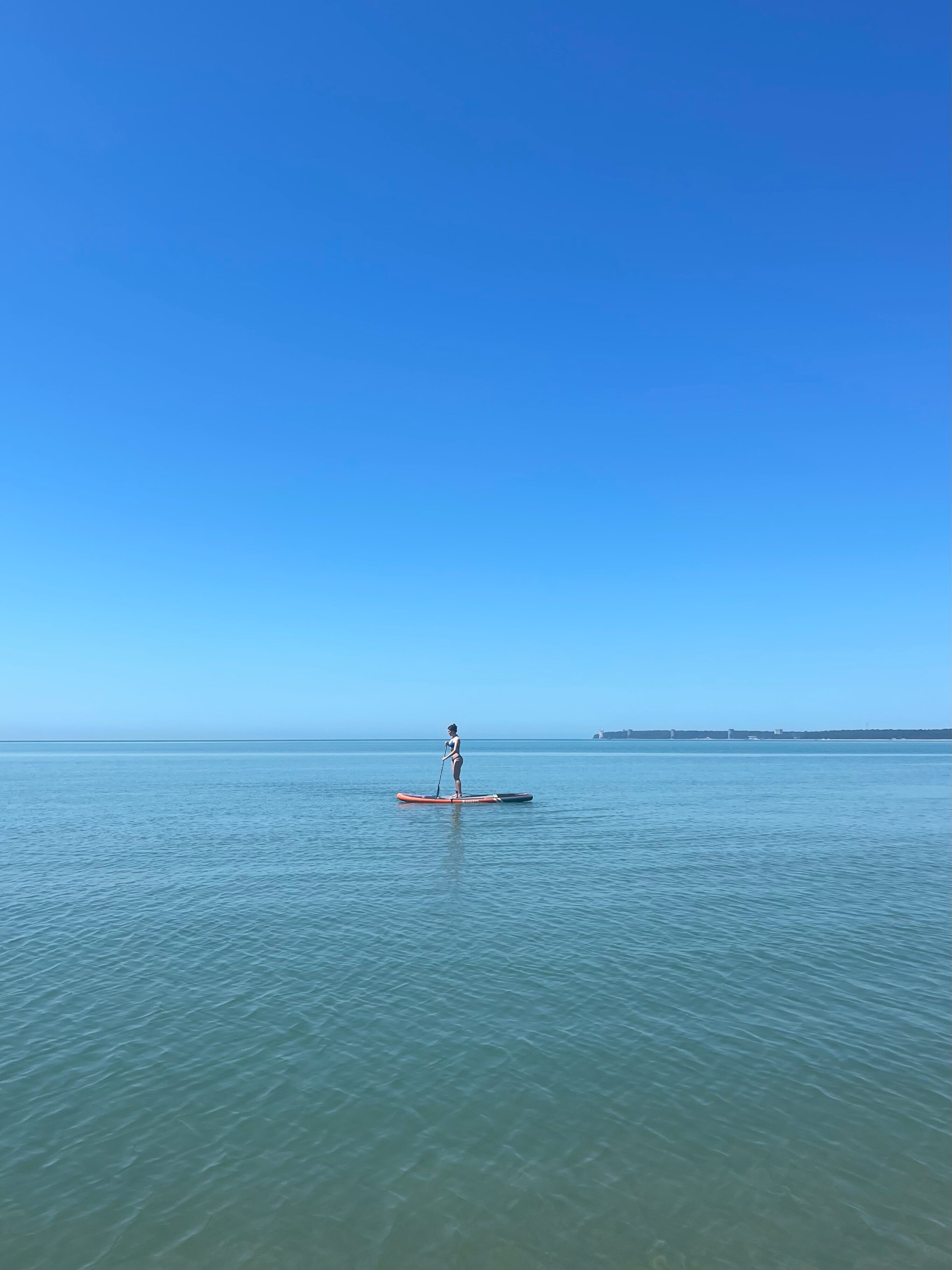 Фото Арбика