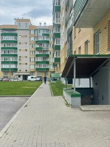 Фото 5 автошколы «Автошкола Дмитрия Павлова»