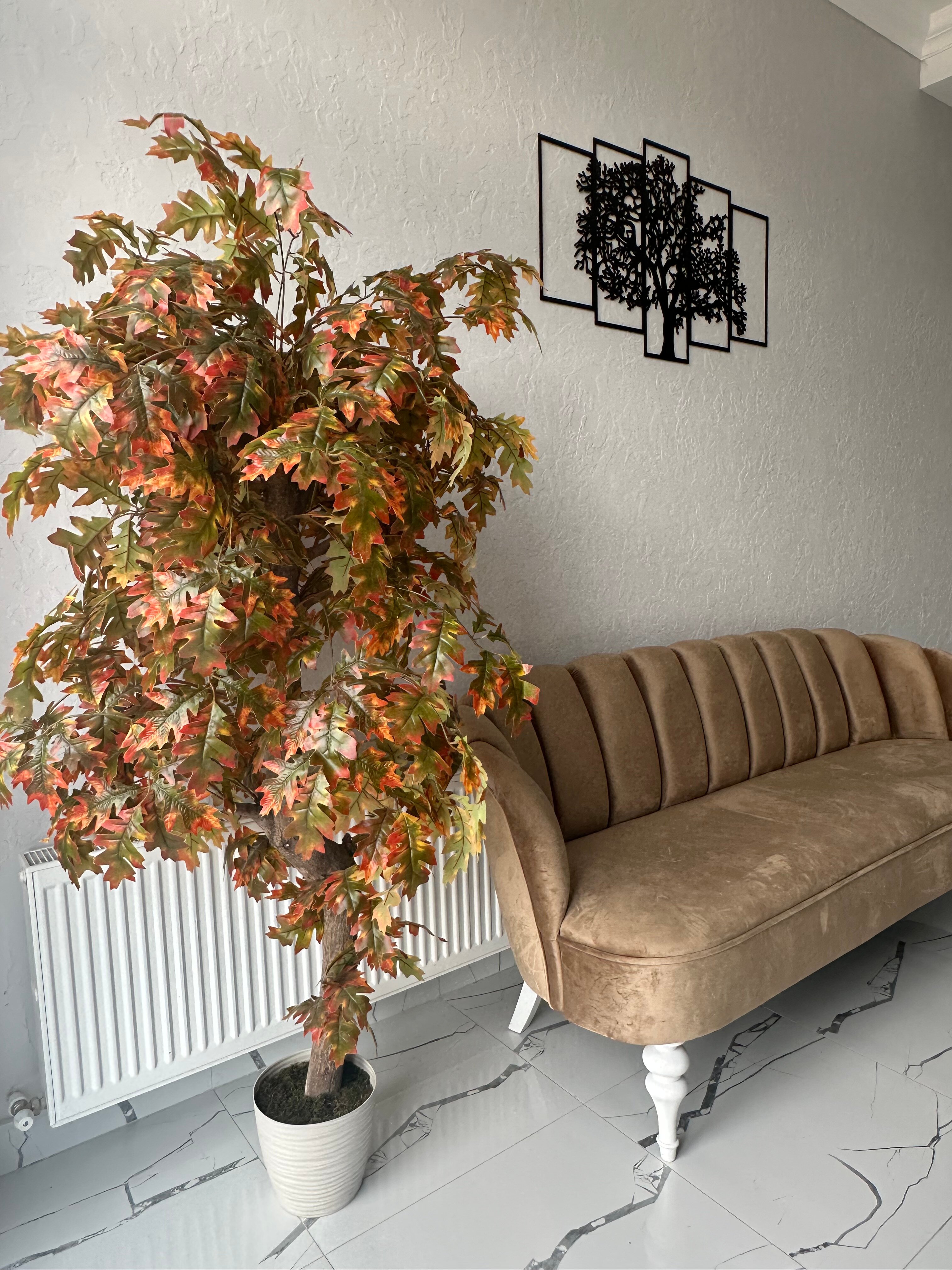 Фото Платан