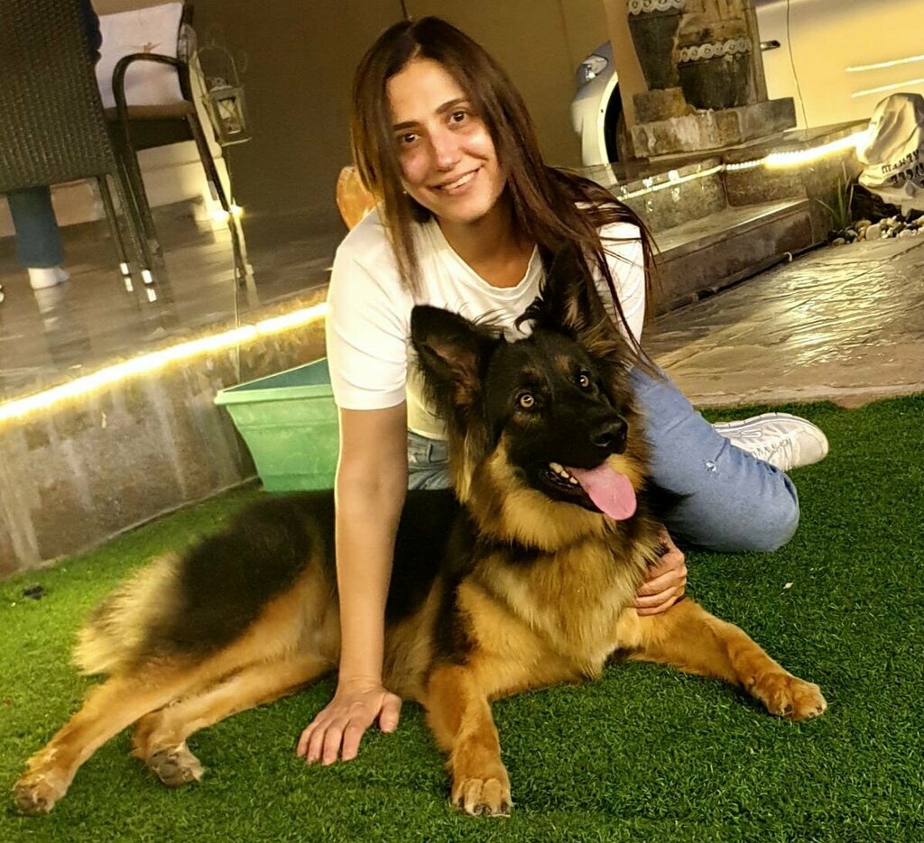 Pet hotel Pet Fun Park, Dubai, photo