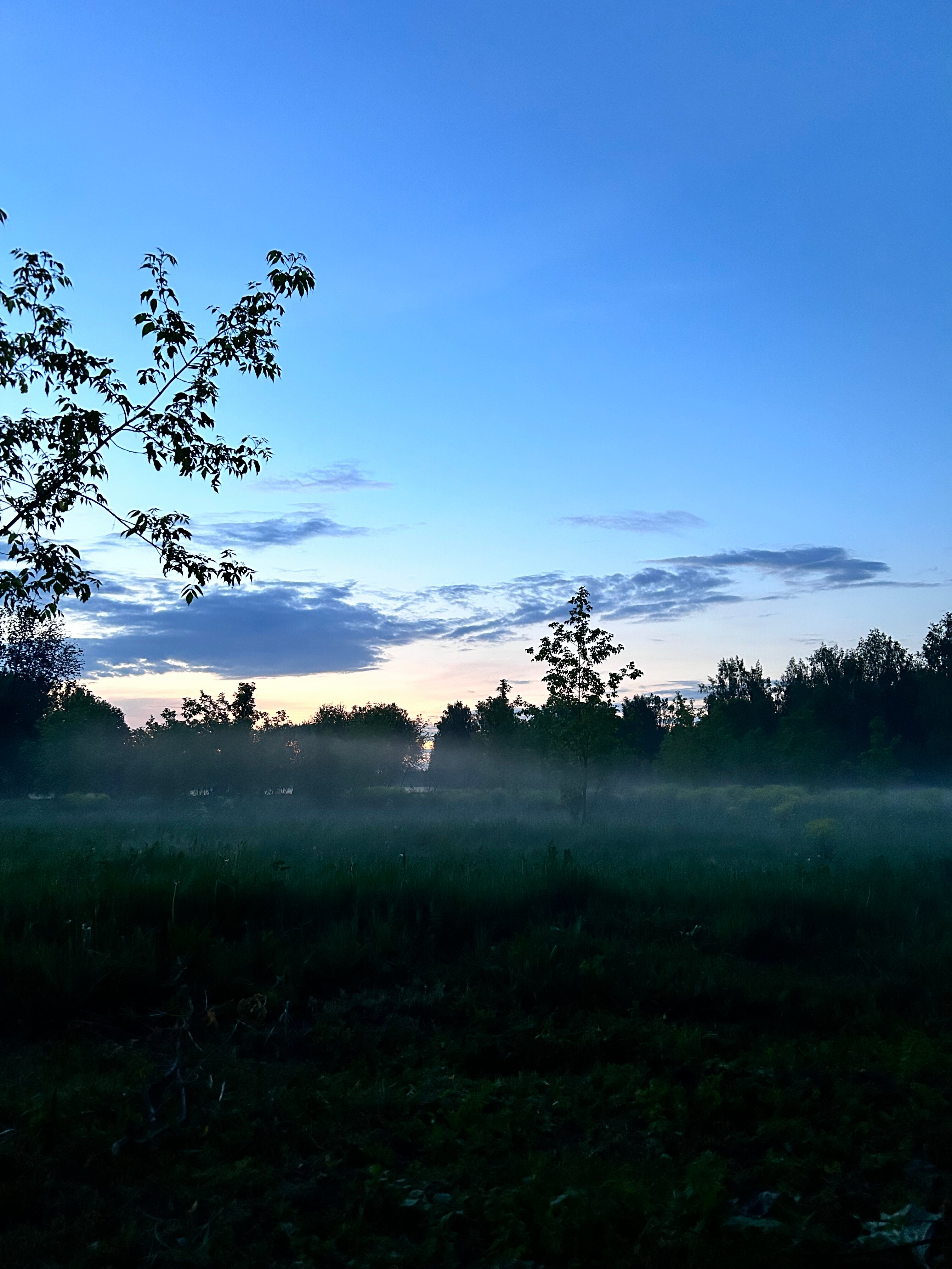 Фото КраснаДача