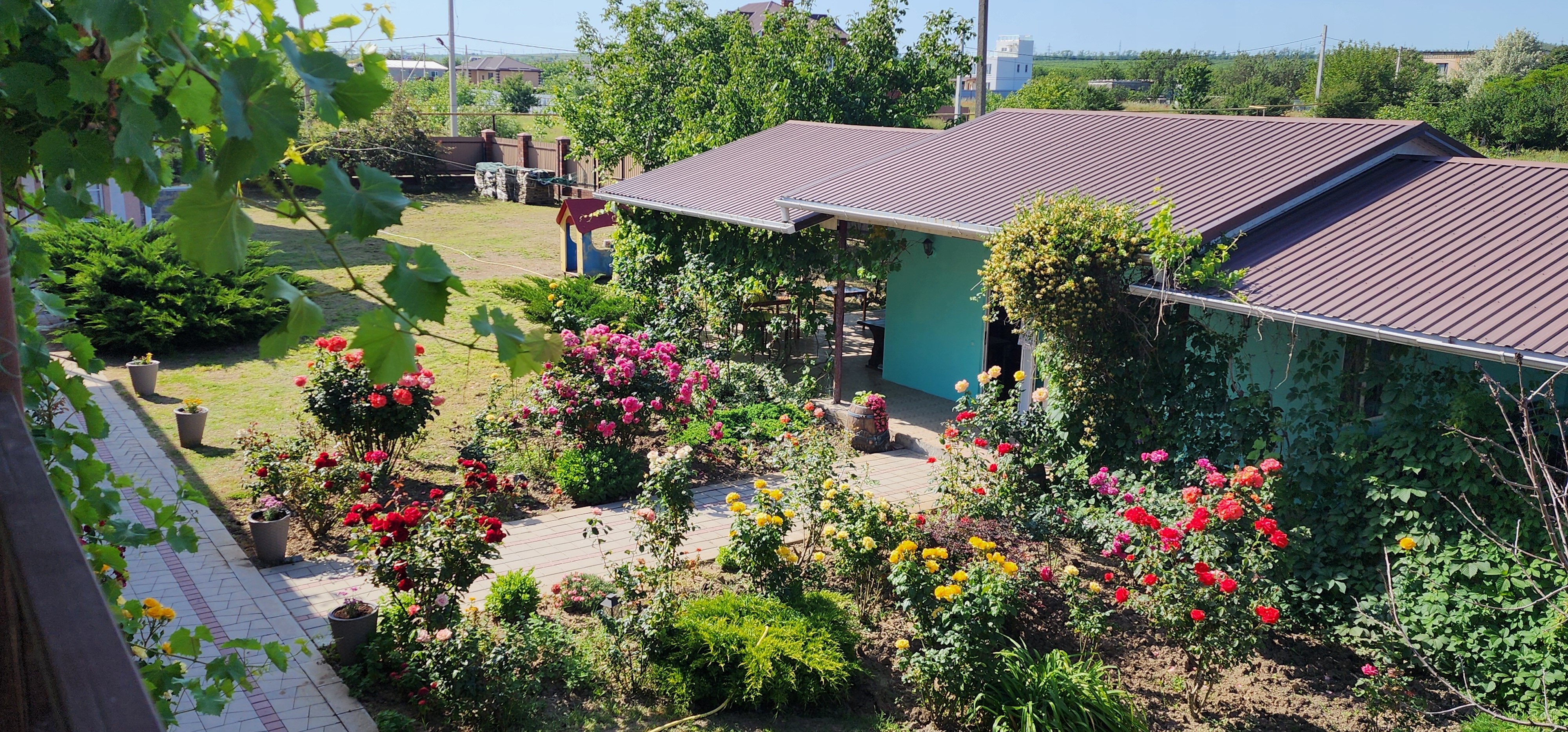 Фото Солнечная поляна