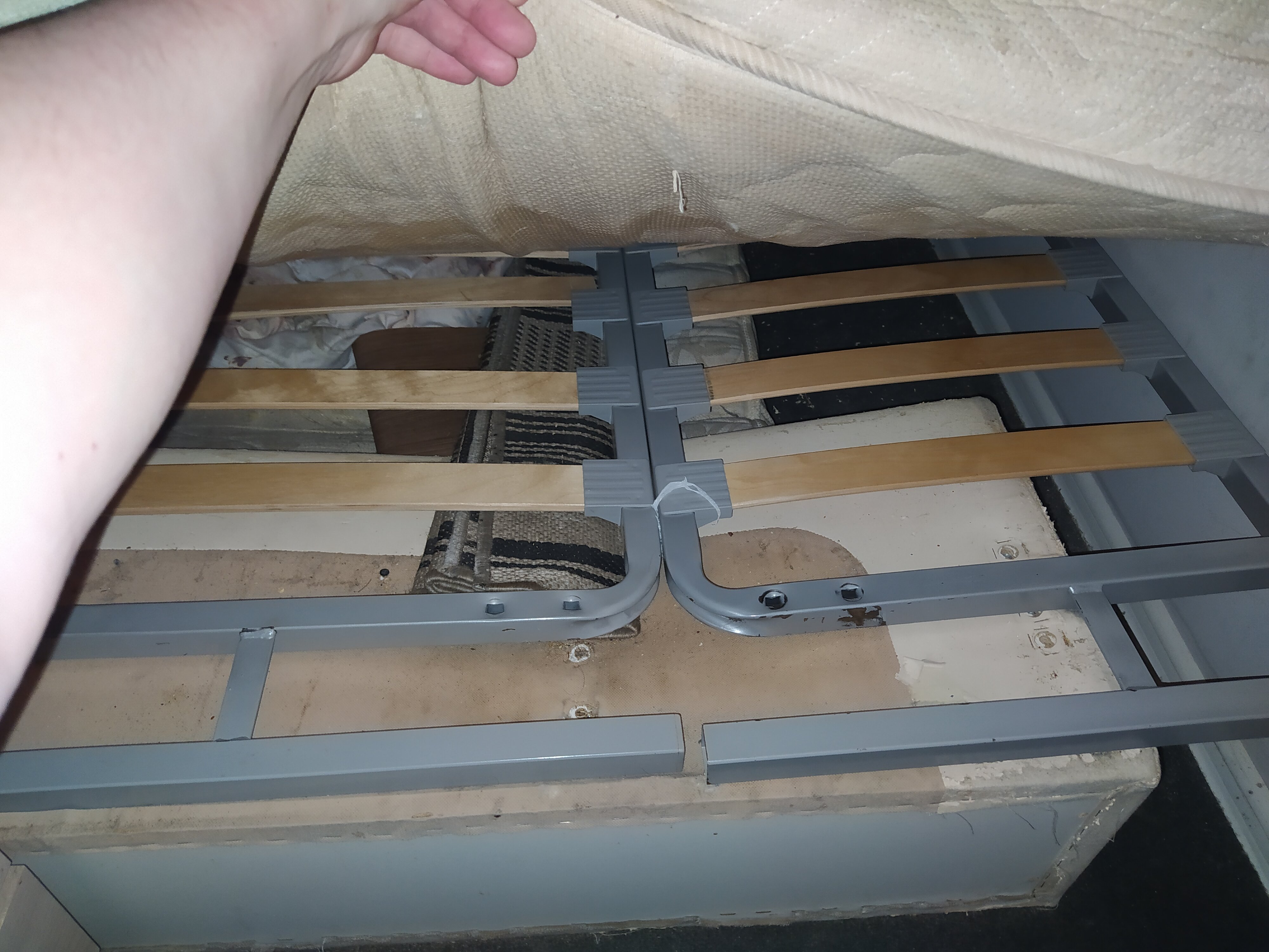 Фото Spbinn Marko