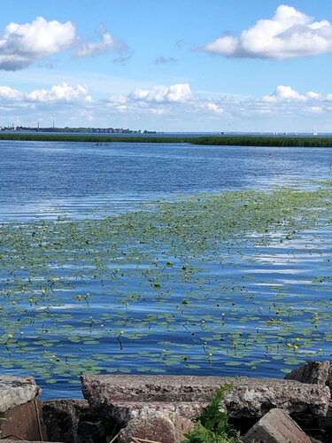 подсмотрел пизду на пляже 