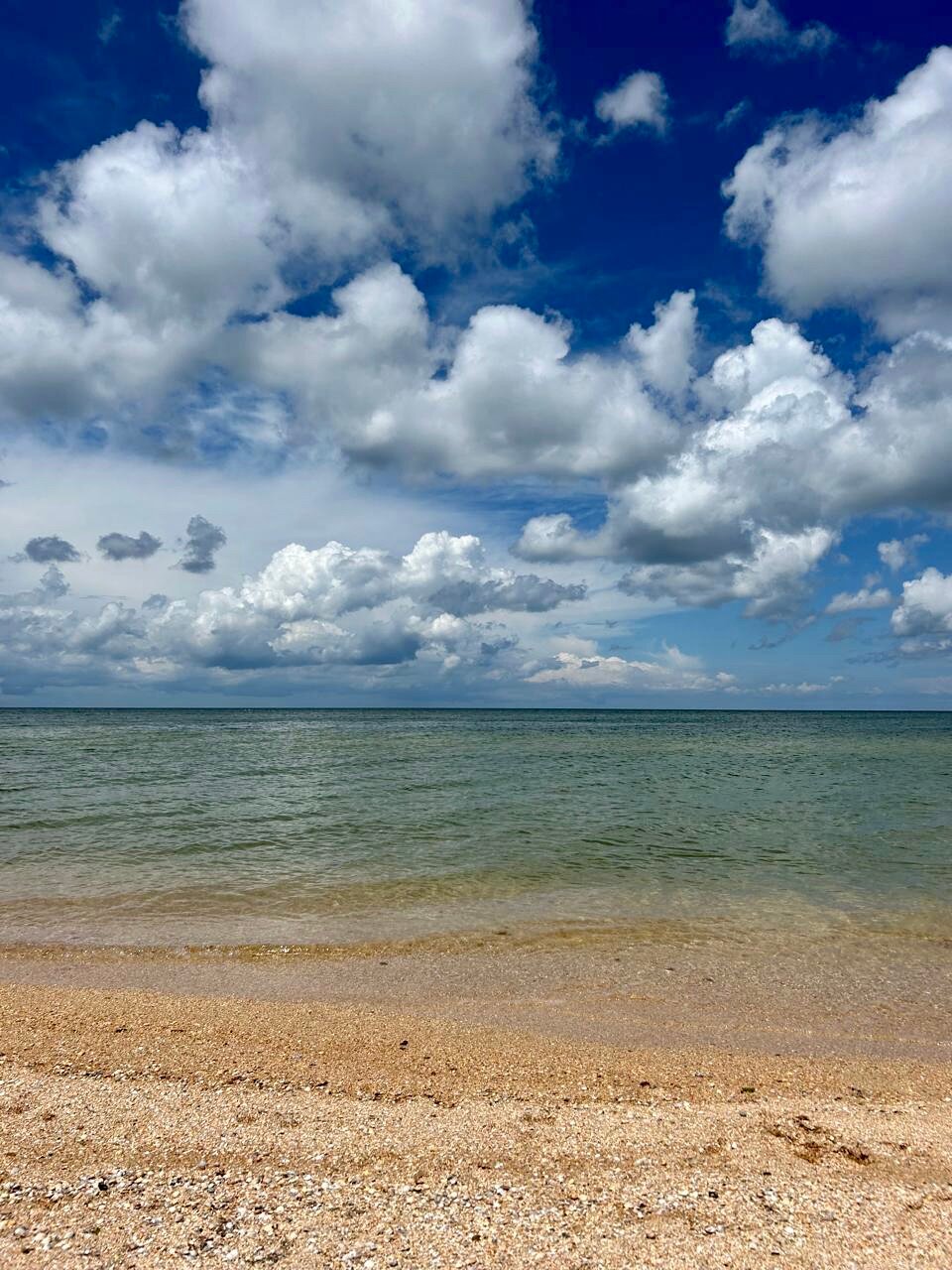 Фото У реки