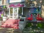 Flamingo (Aqan Seri kóshesi, 109) ، وكالة أسفار