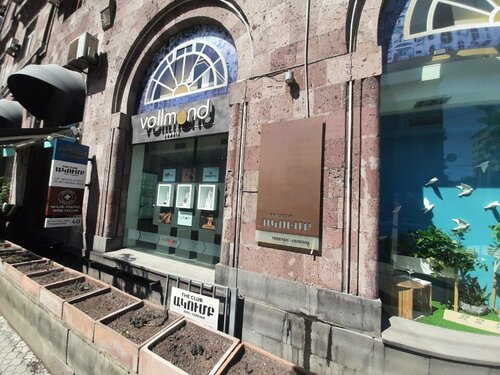 Vollmond Fotoğraf 1