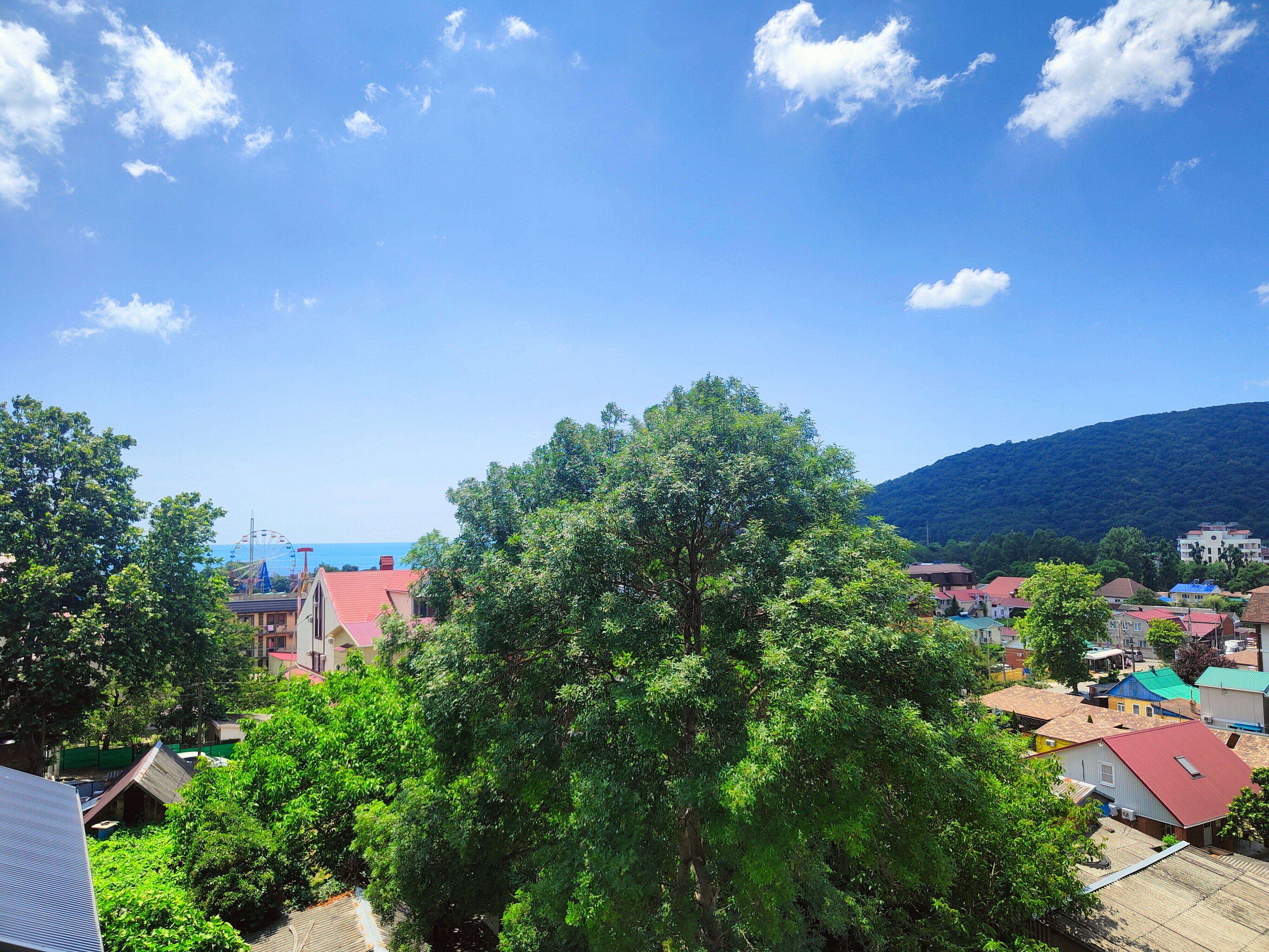 Фото Орхидея