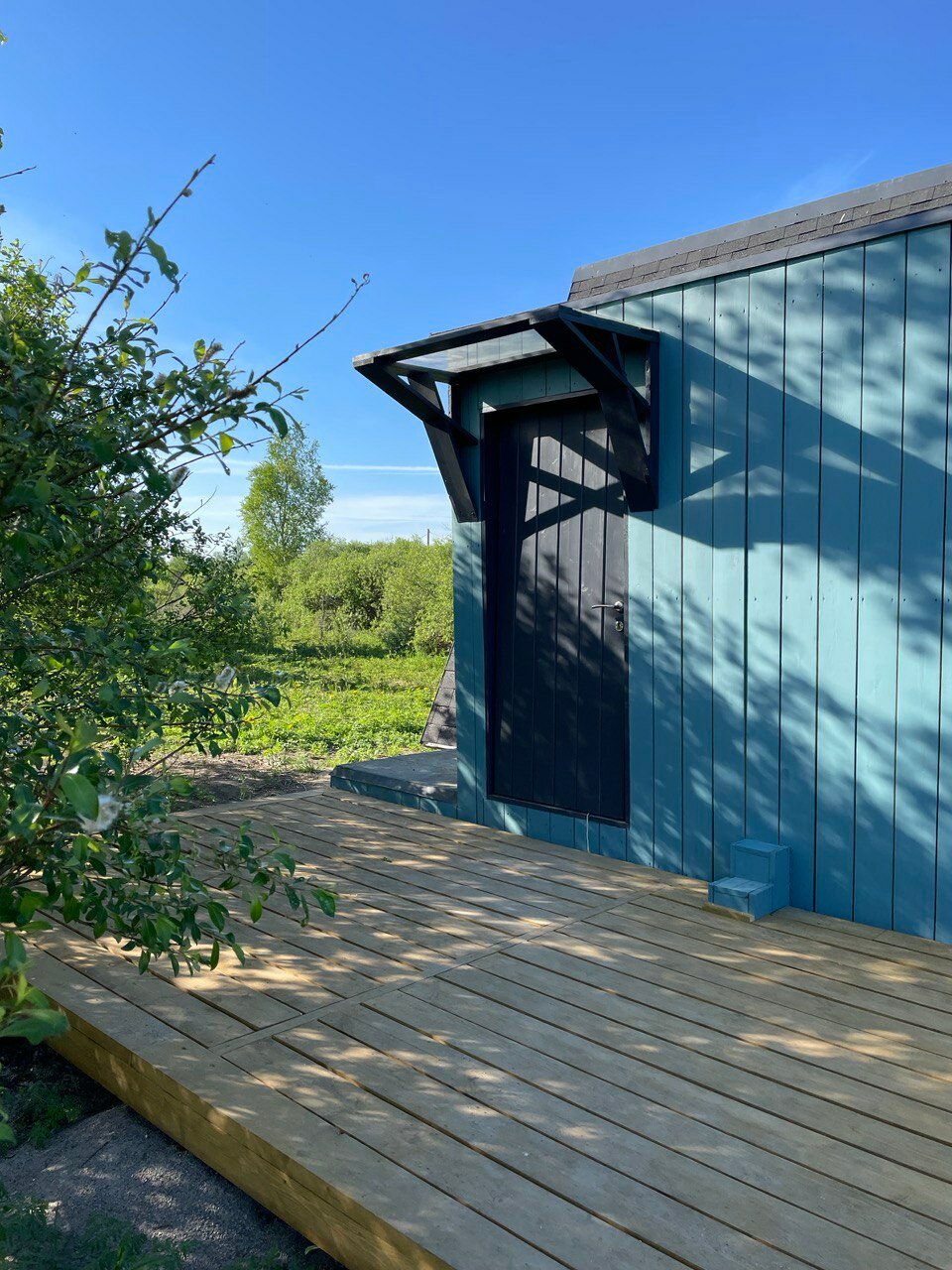 Фото Ракита