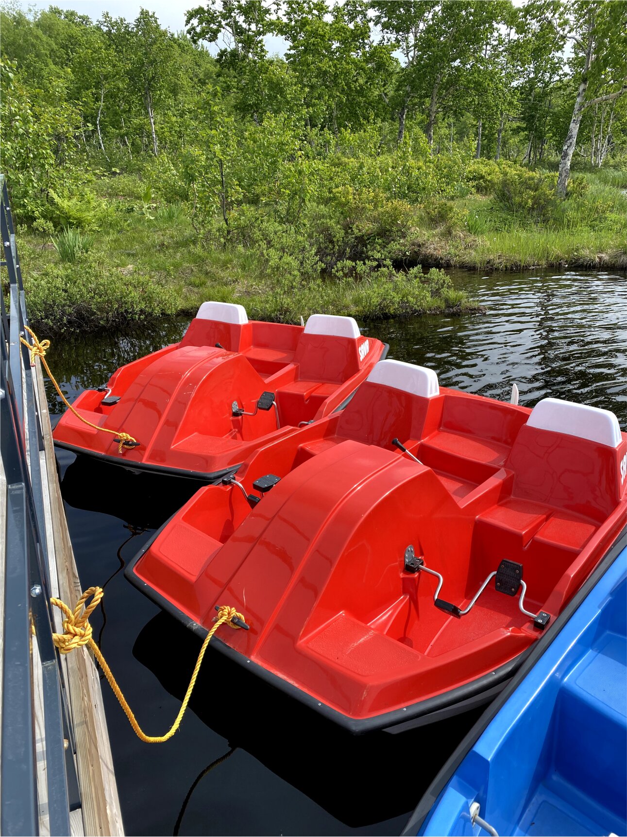 Фото Обитаемая Земля. Ойкумена