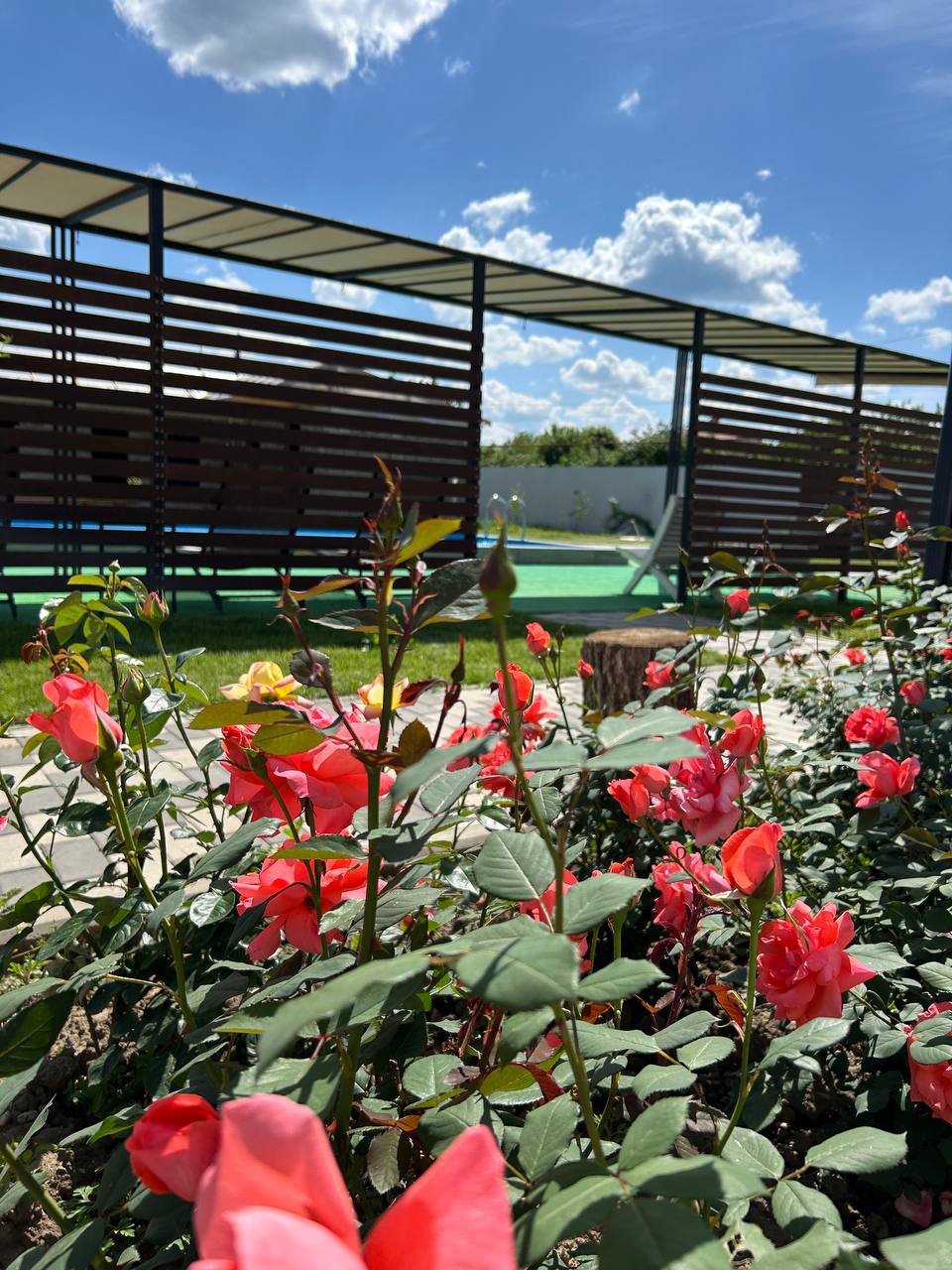 Фото Предгорье 01