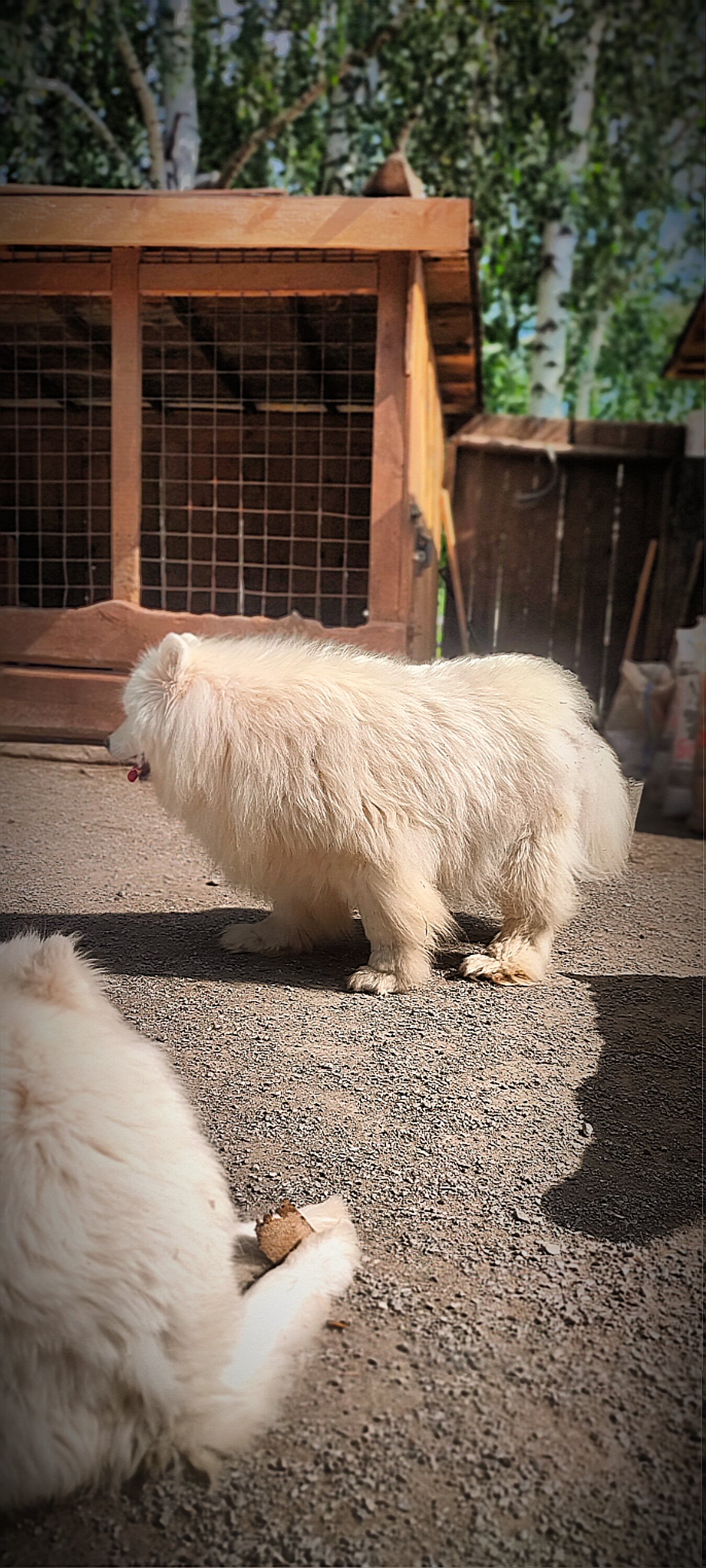 Фото Business Residence & SPA