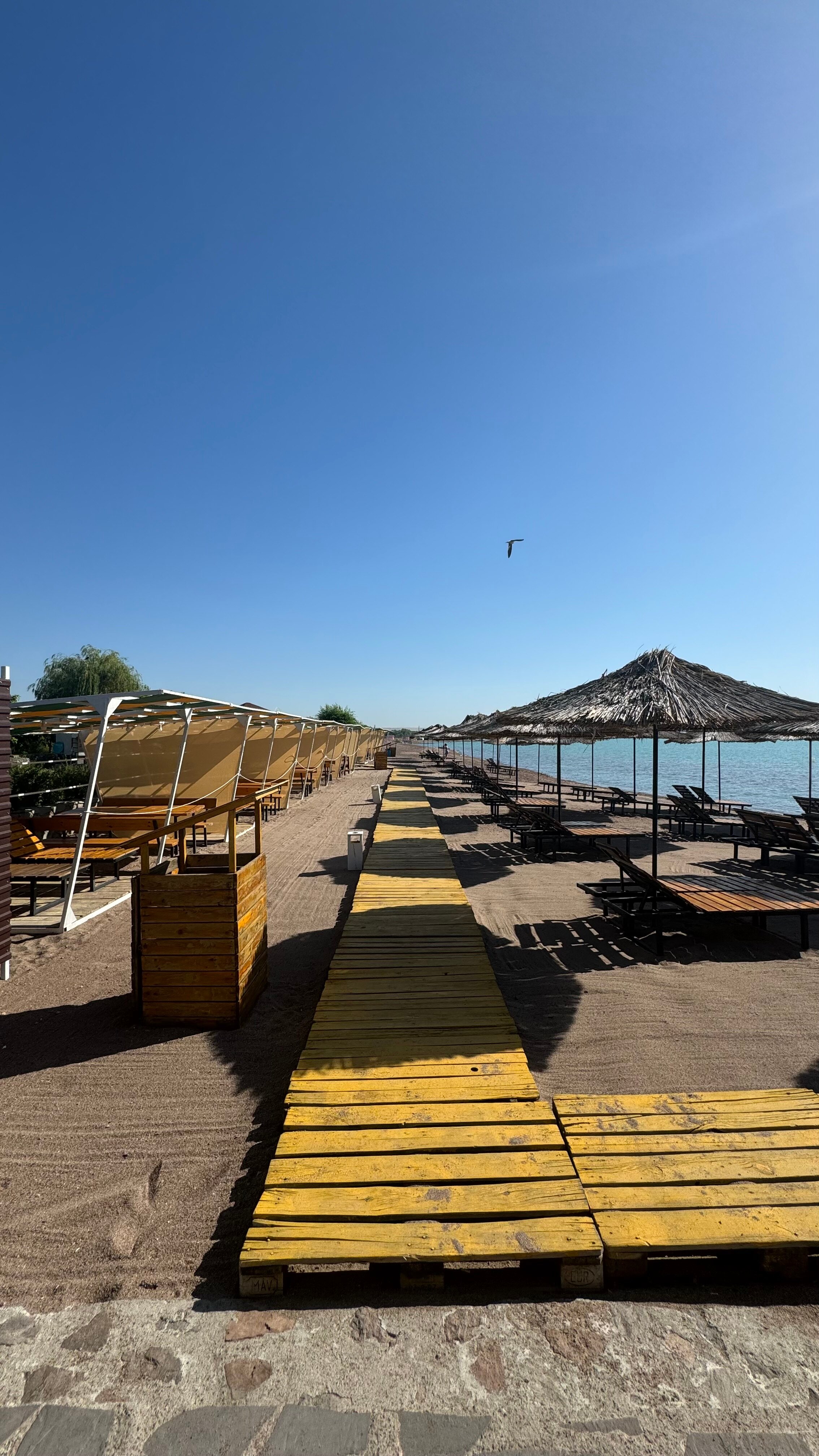 Фото Ямайка