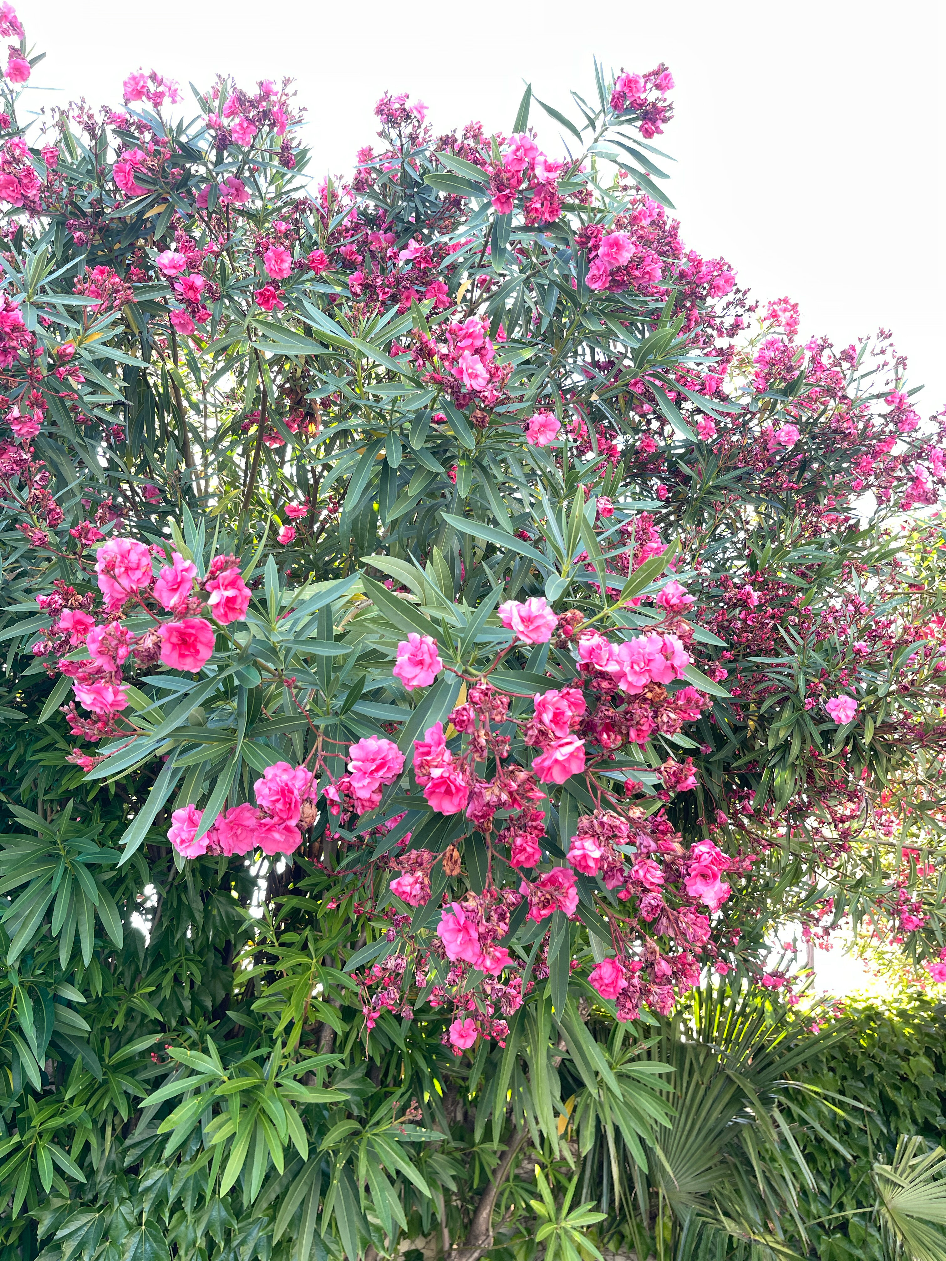 Фото Виктория-Отдых