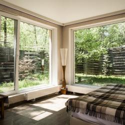 Фото Гуси-Лебеди