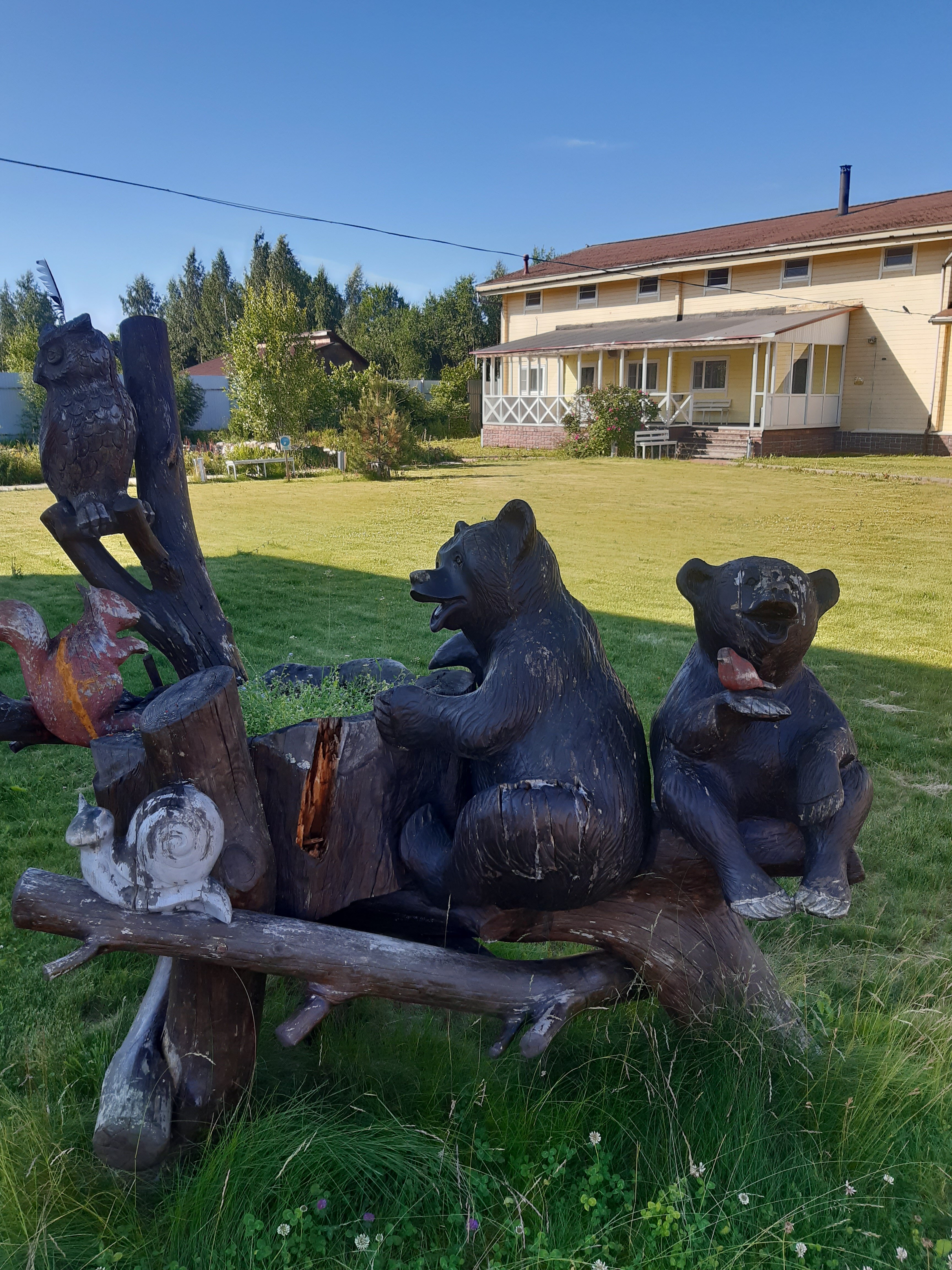 Фото Суйсарь