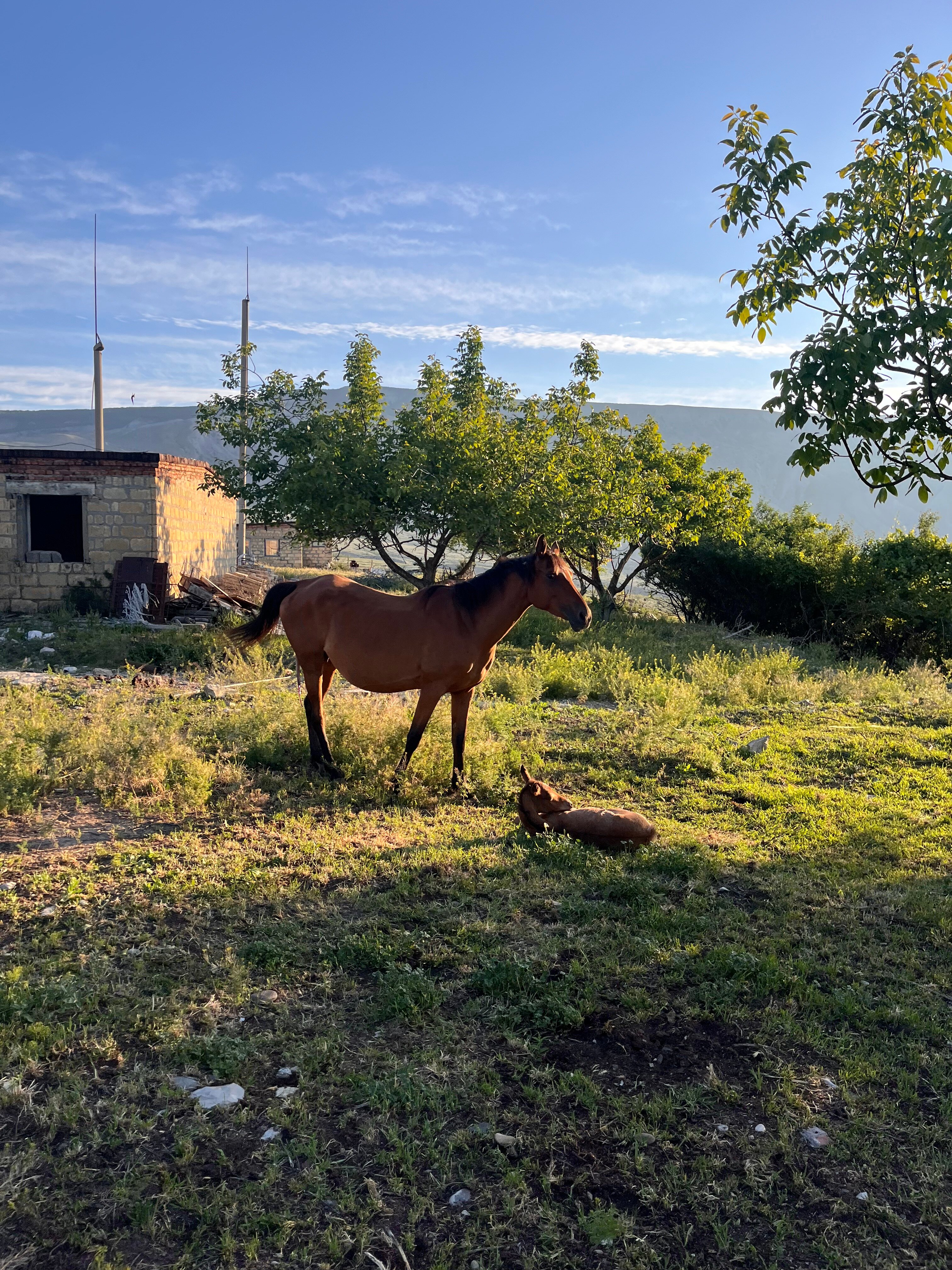 Фото Скай Каньон