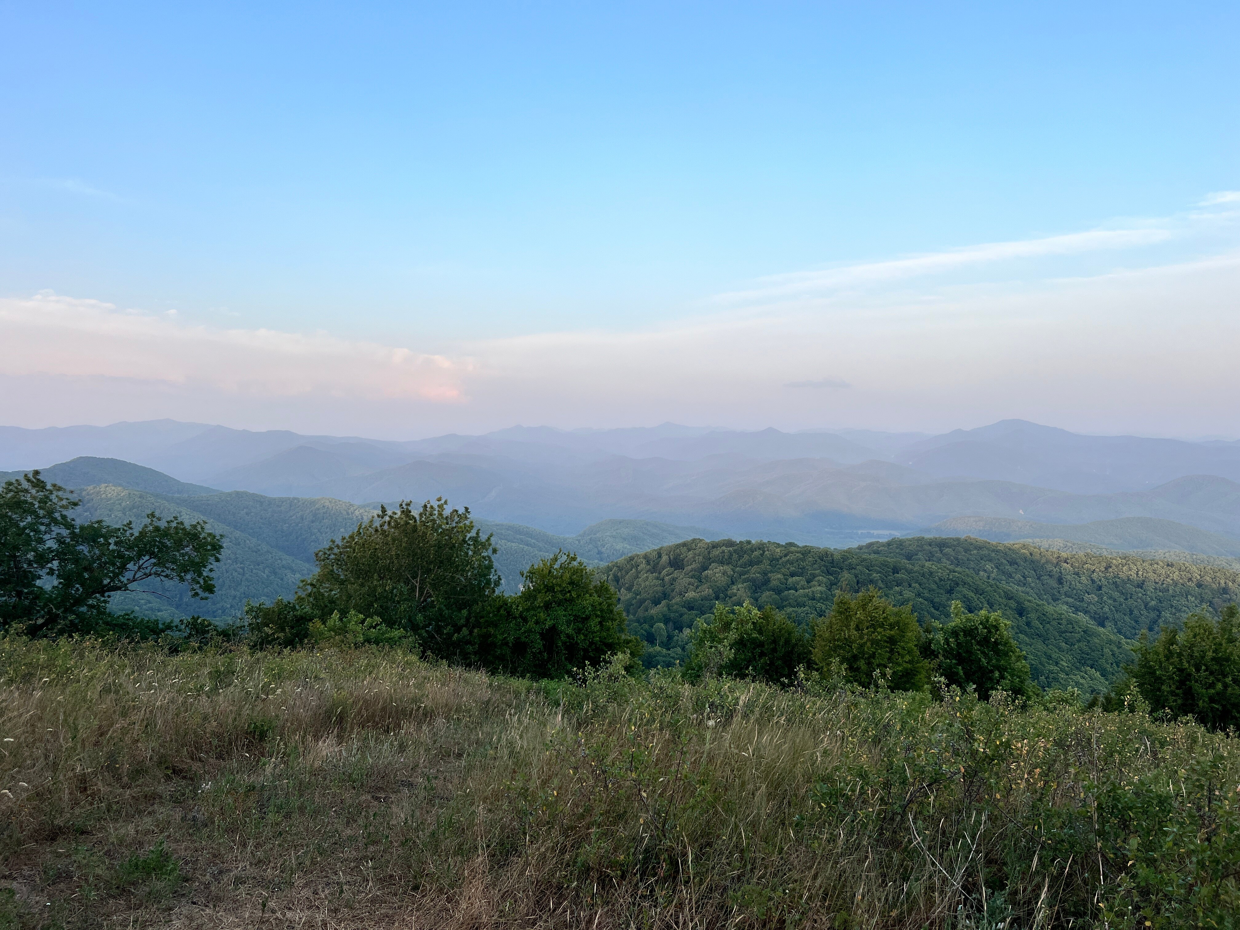 Фото Forest Club