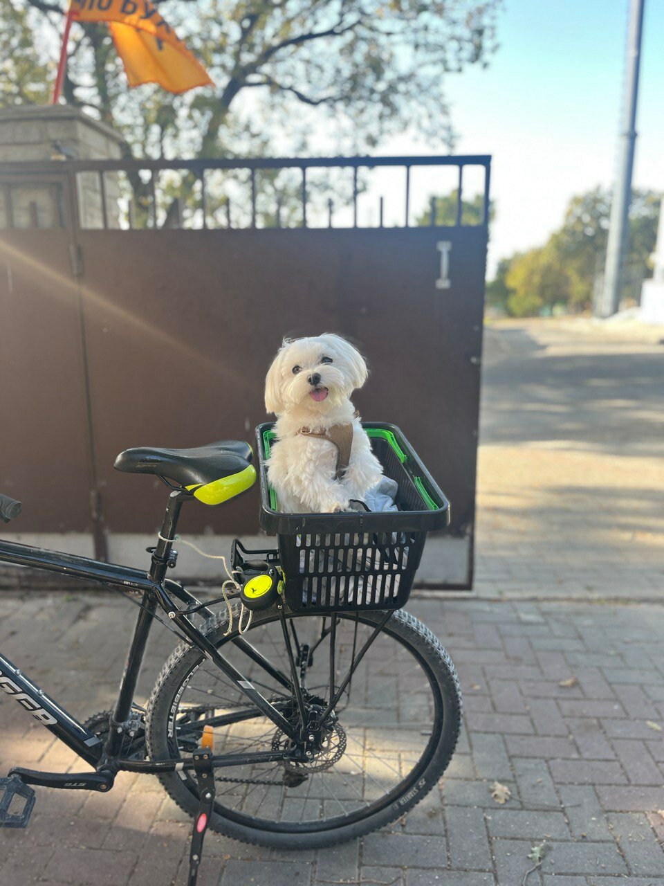 Фото Ля Вилла