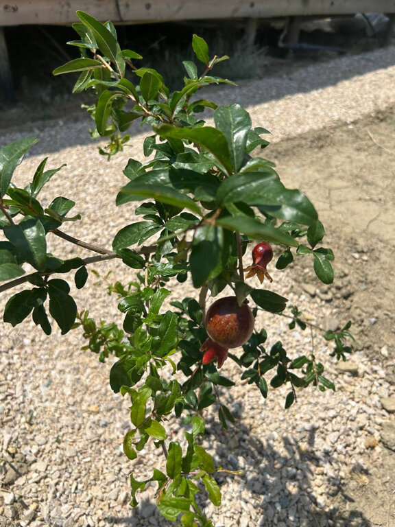 Фото Яотдыхаю