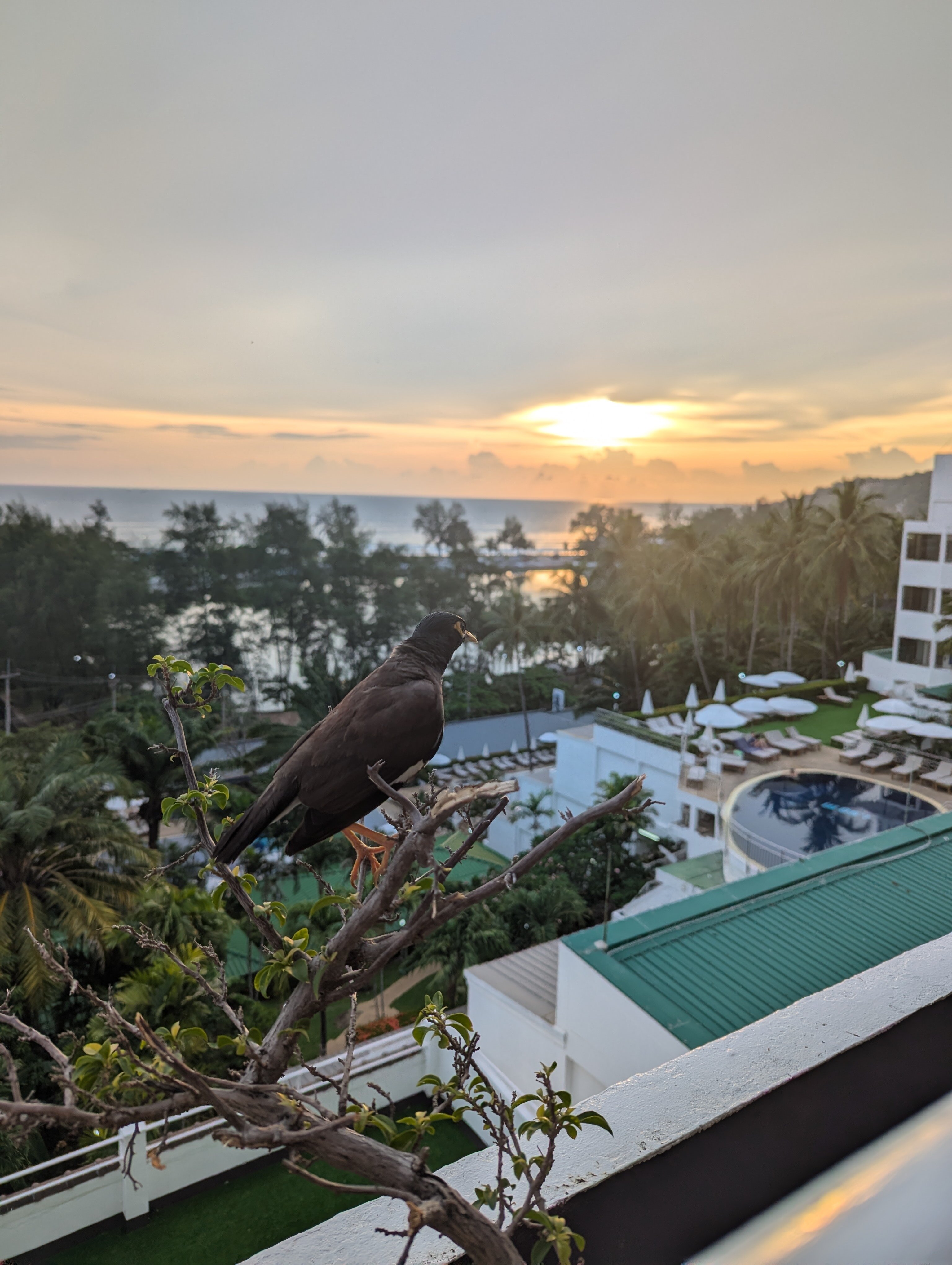 Фото Best Western Phuket Ocean Resort