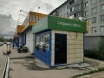 Saya (Poyarkova Street, 14Б), flower shop