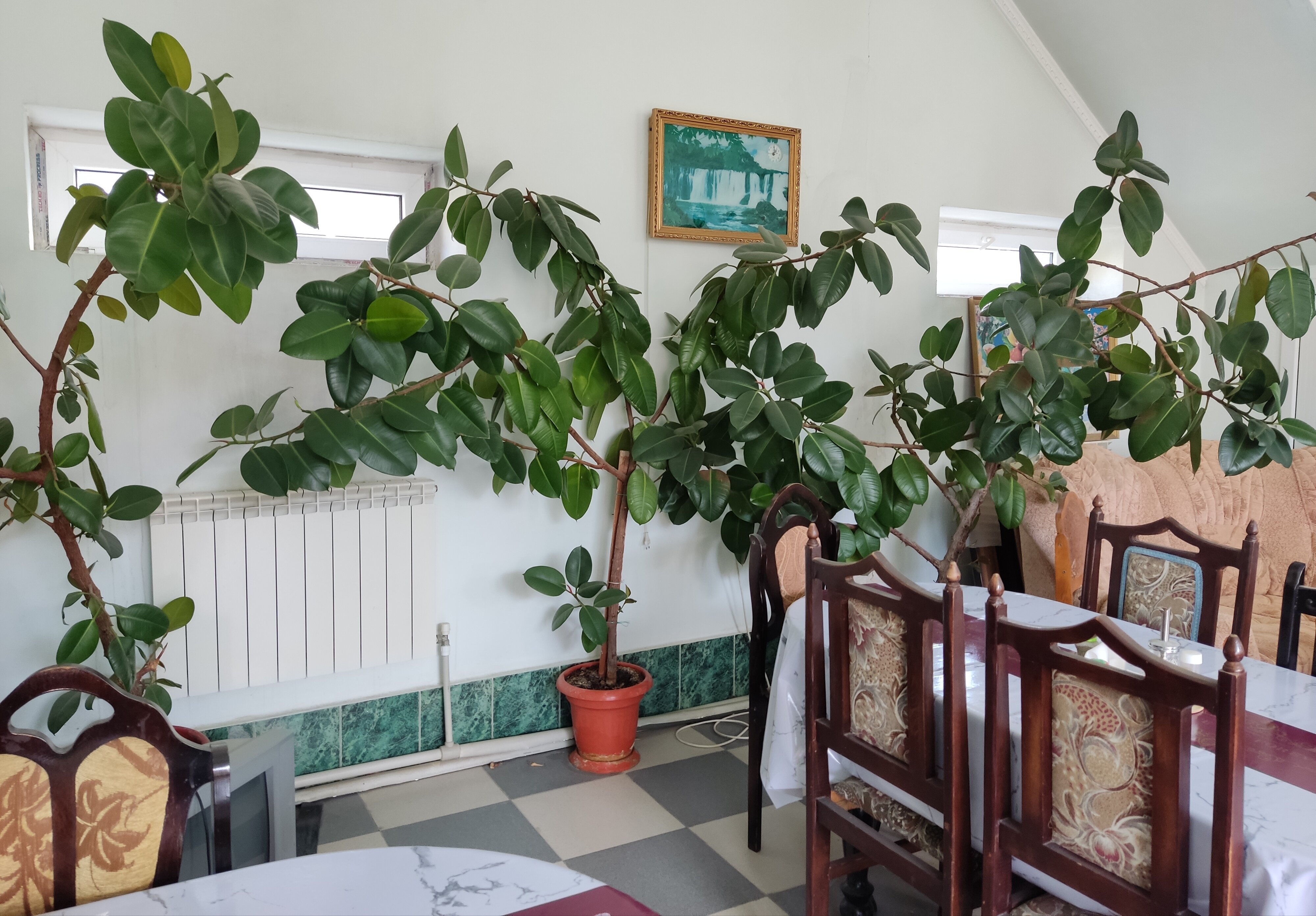 Фото Красный Бак