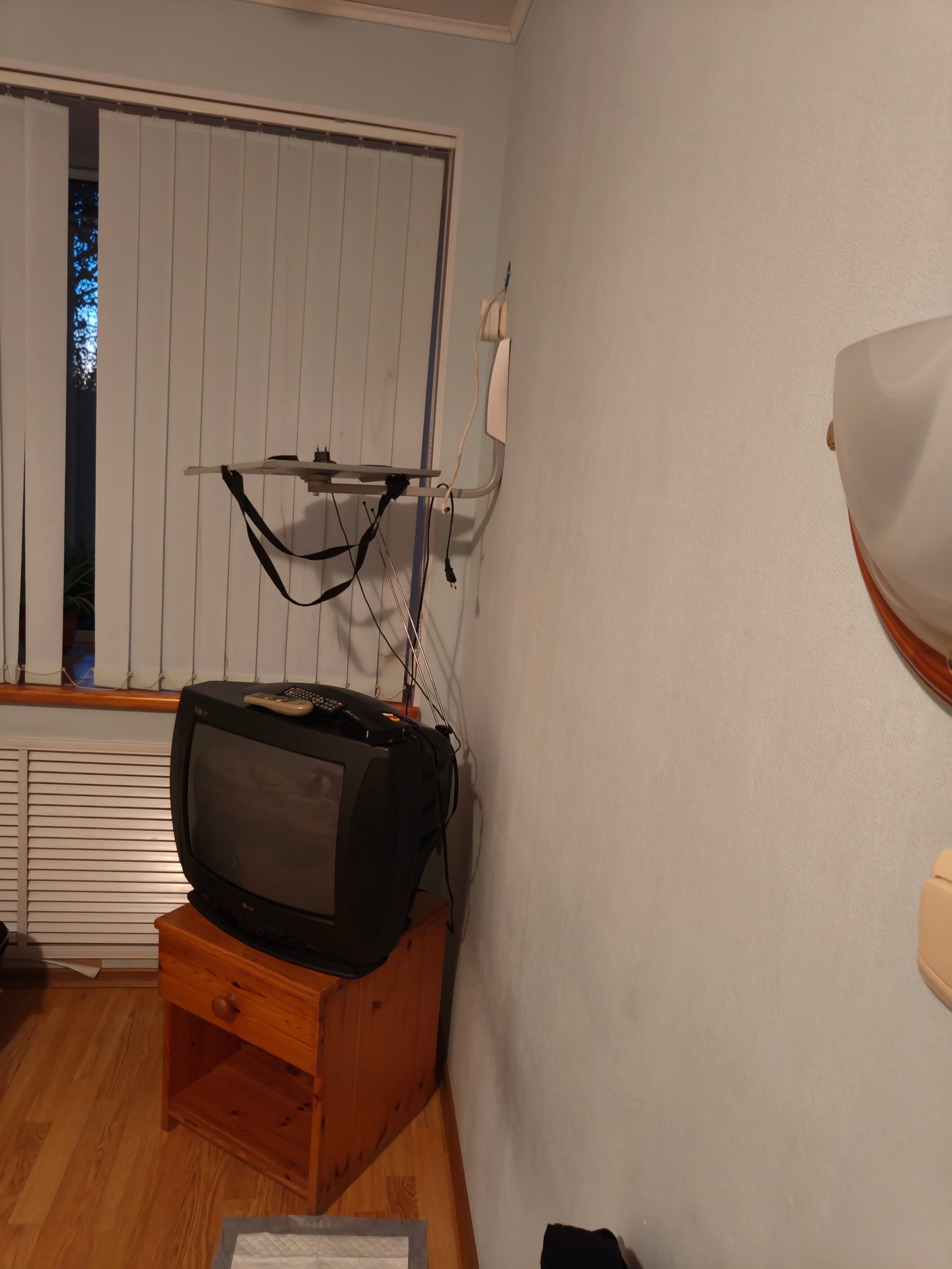 Фото Лесная