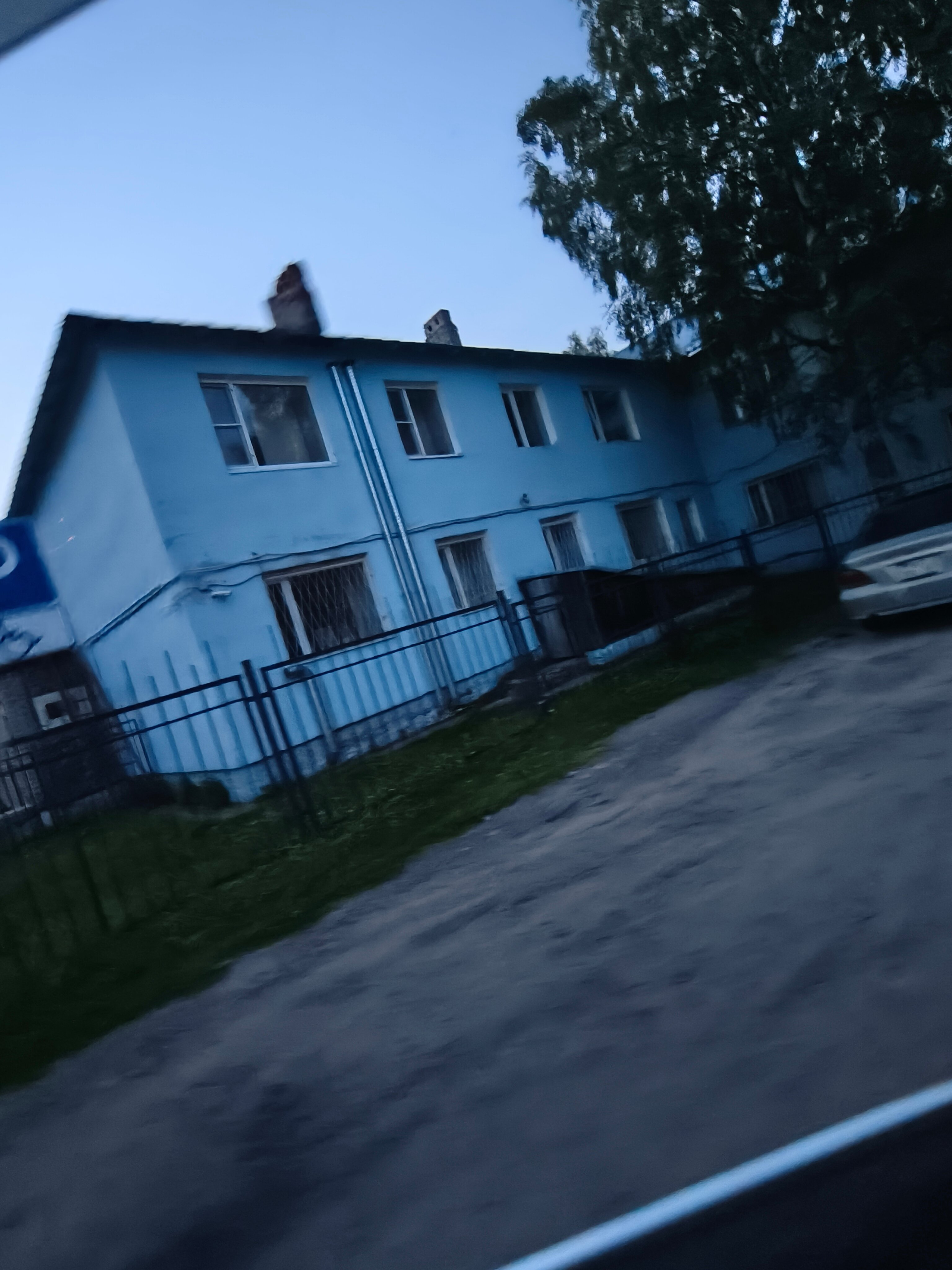 Фото Лесная