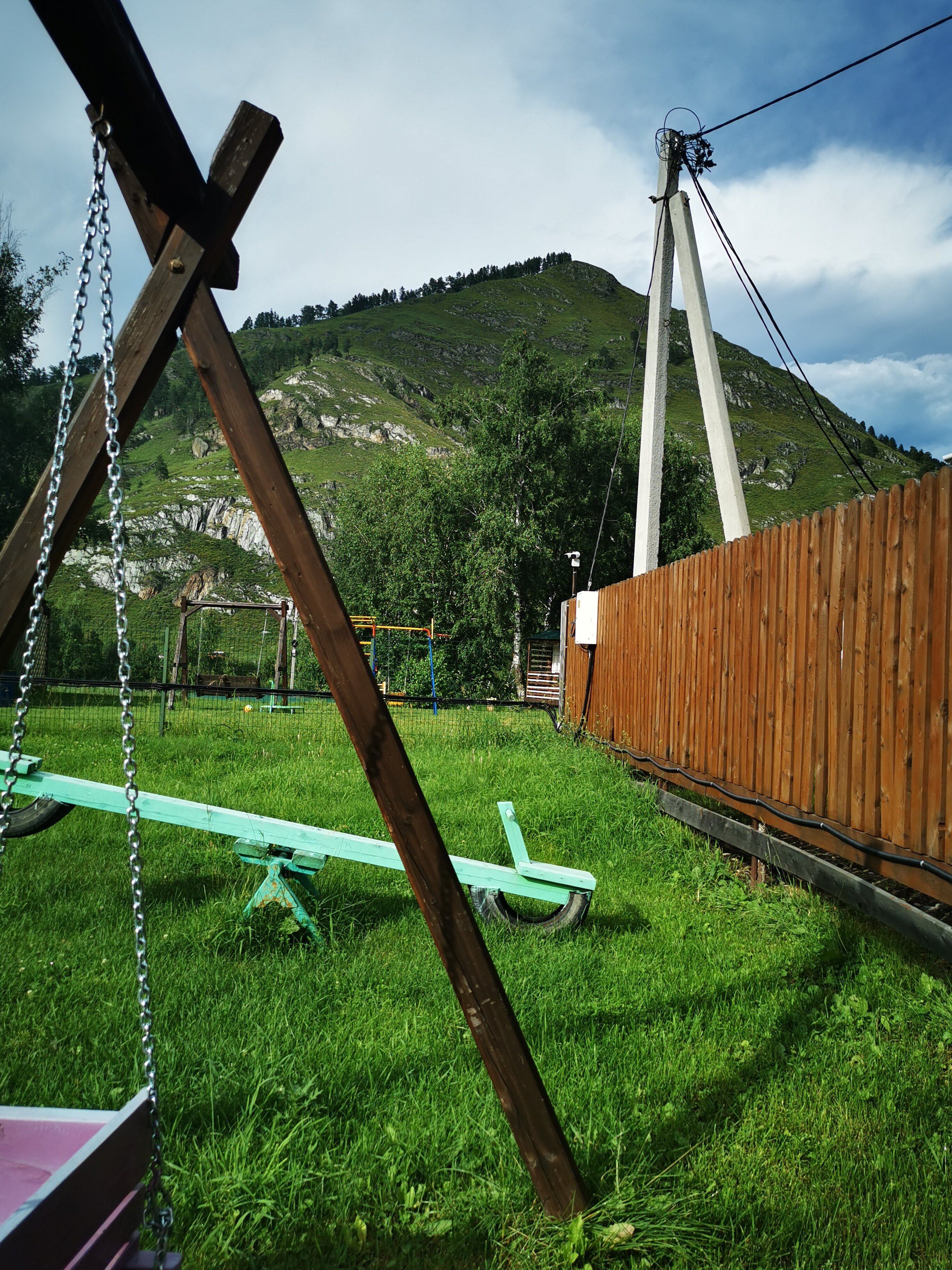 Фото Золотой медведь