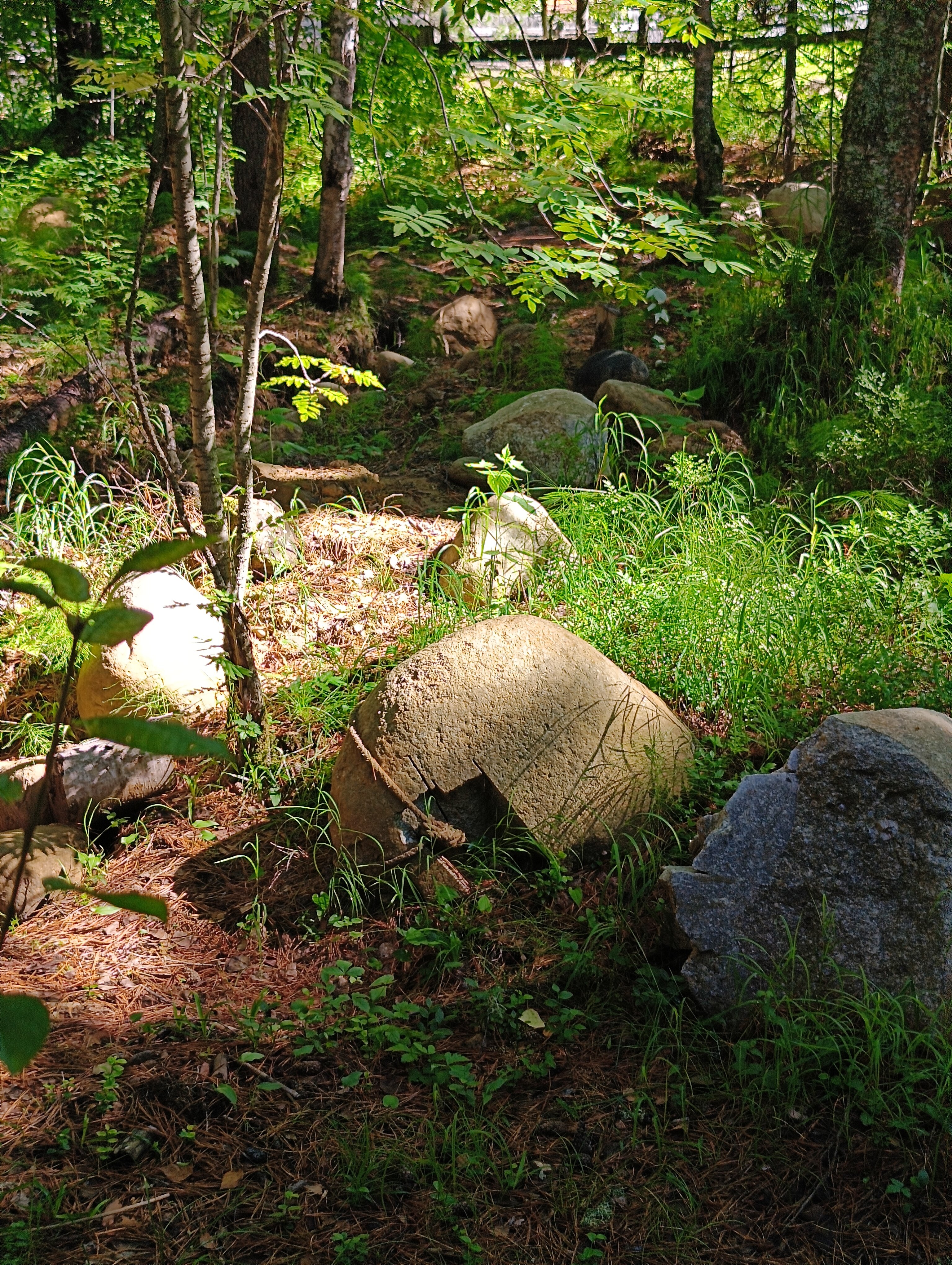 Фото Тэнгис