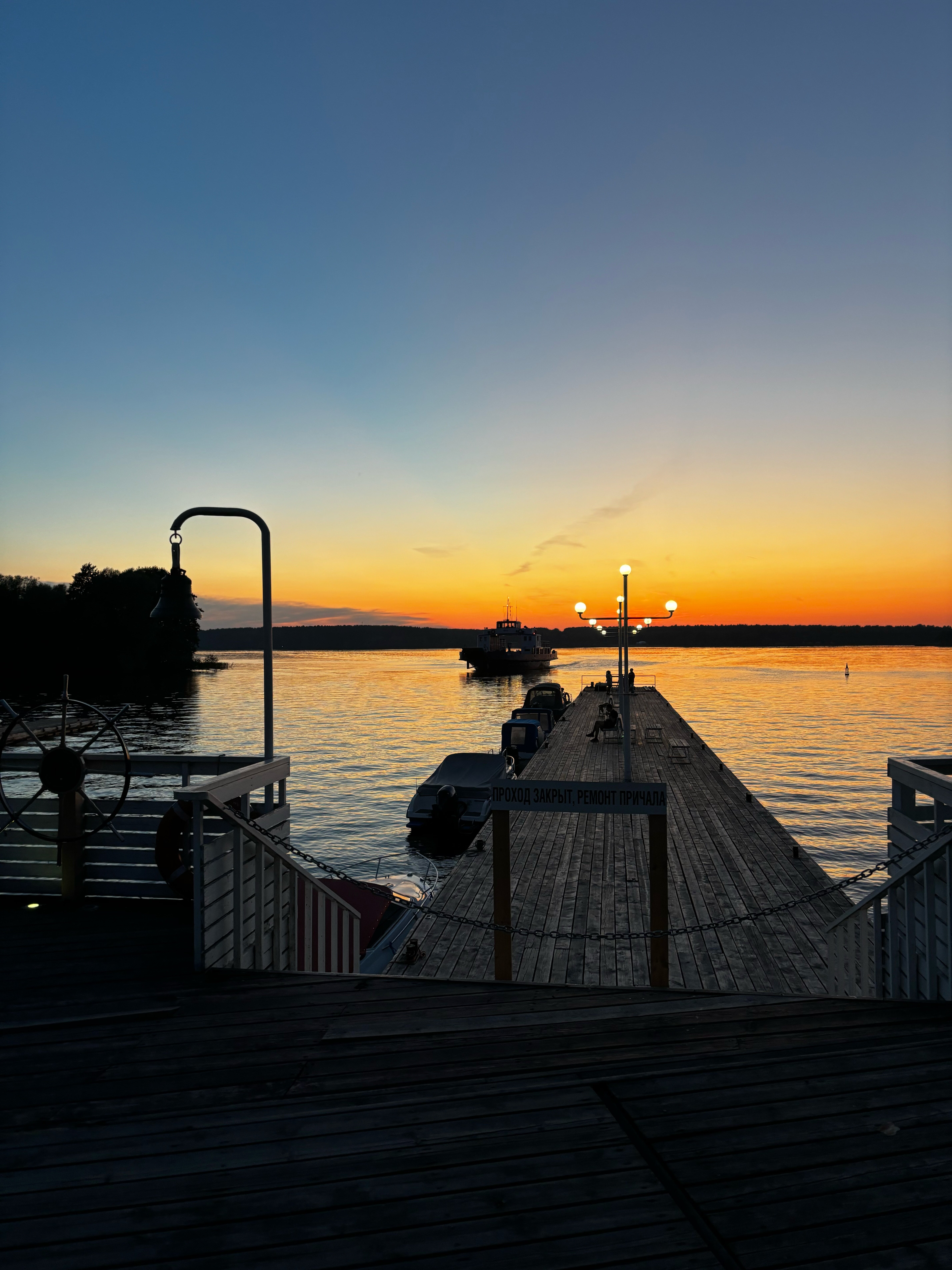 Фото Green forest