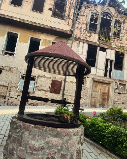 Educational center Beyond Consciousness, Ankara, photo