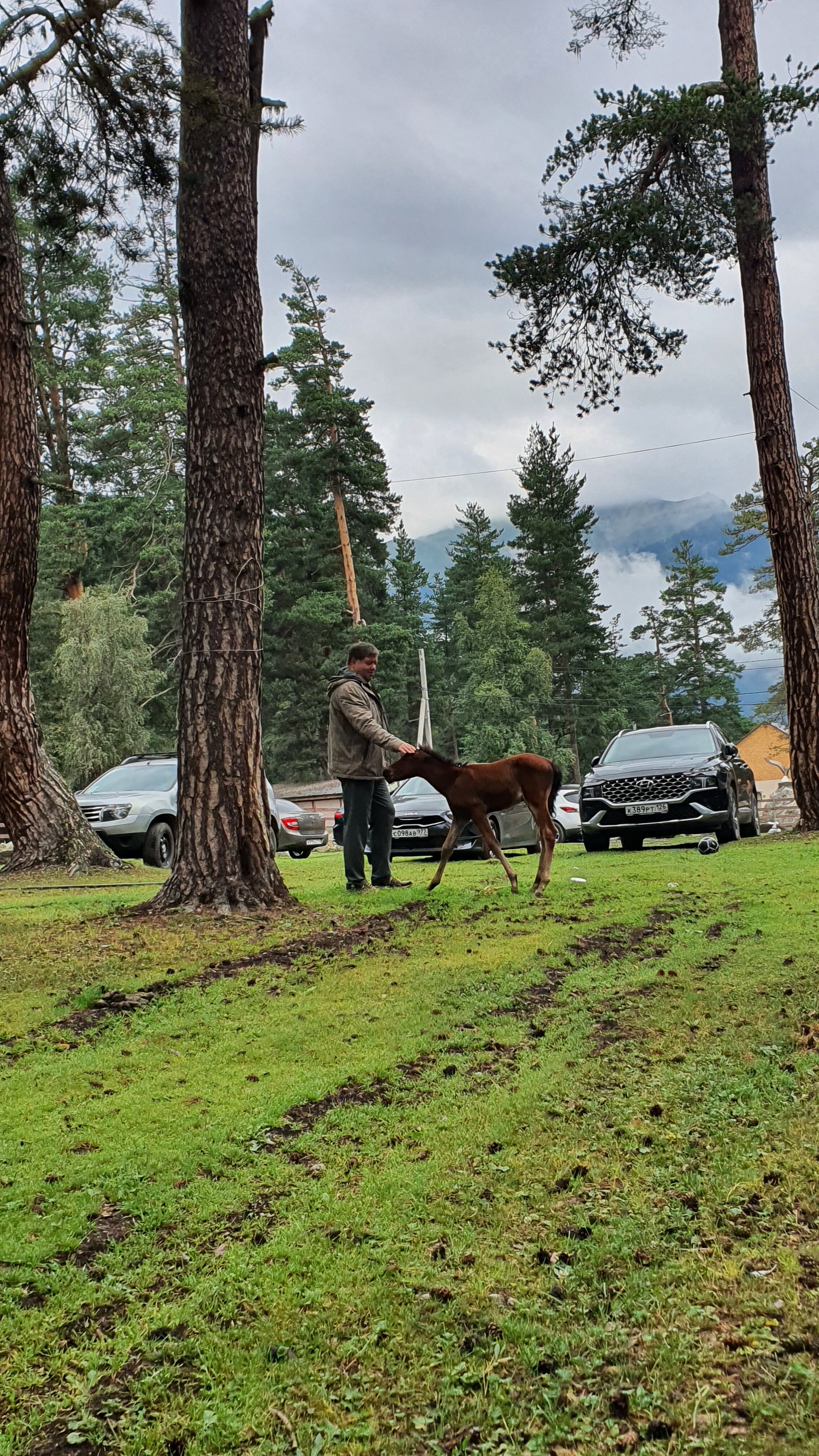 Фото Cube for travel