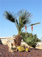Фото Agriturismo Agave