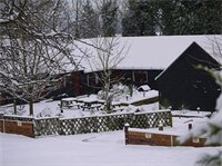 Фото The Black Horse Inn