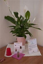 Фото Giardino Giusti House