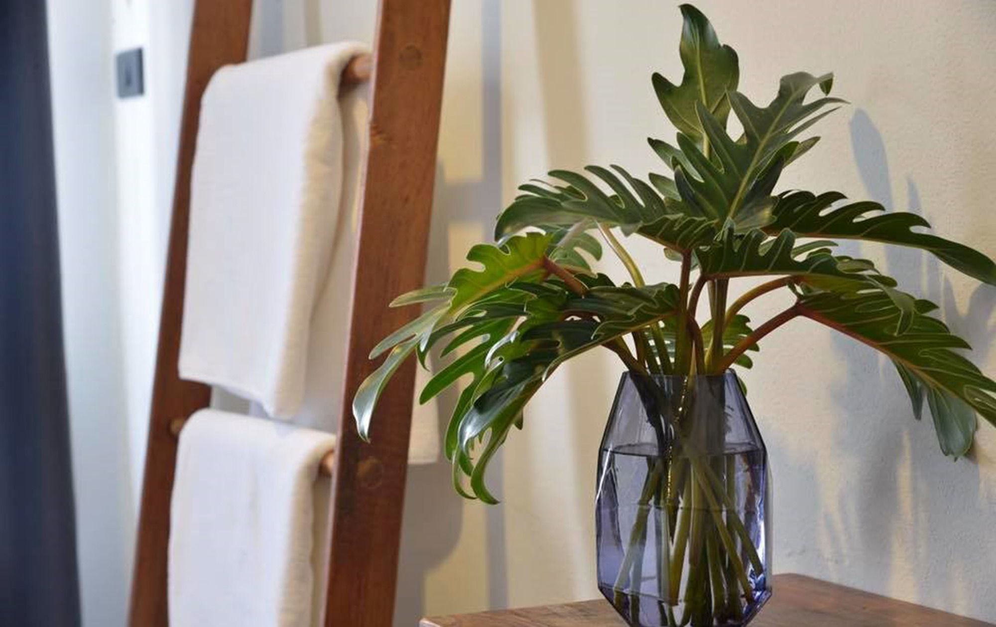 Фото Pakping The Cozy Living Chiangmai