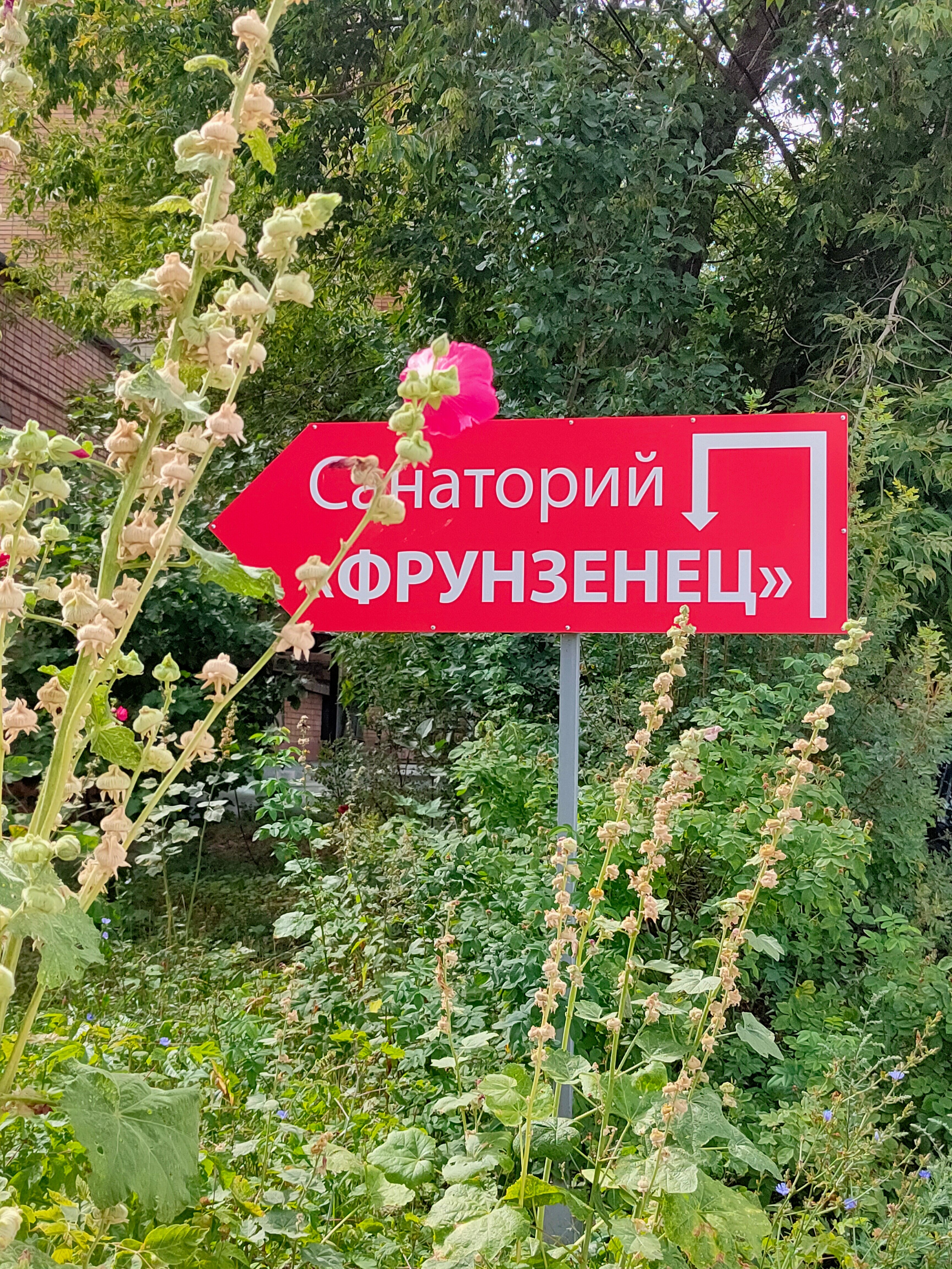Фото Фрунзенец