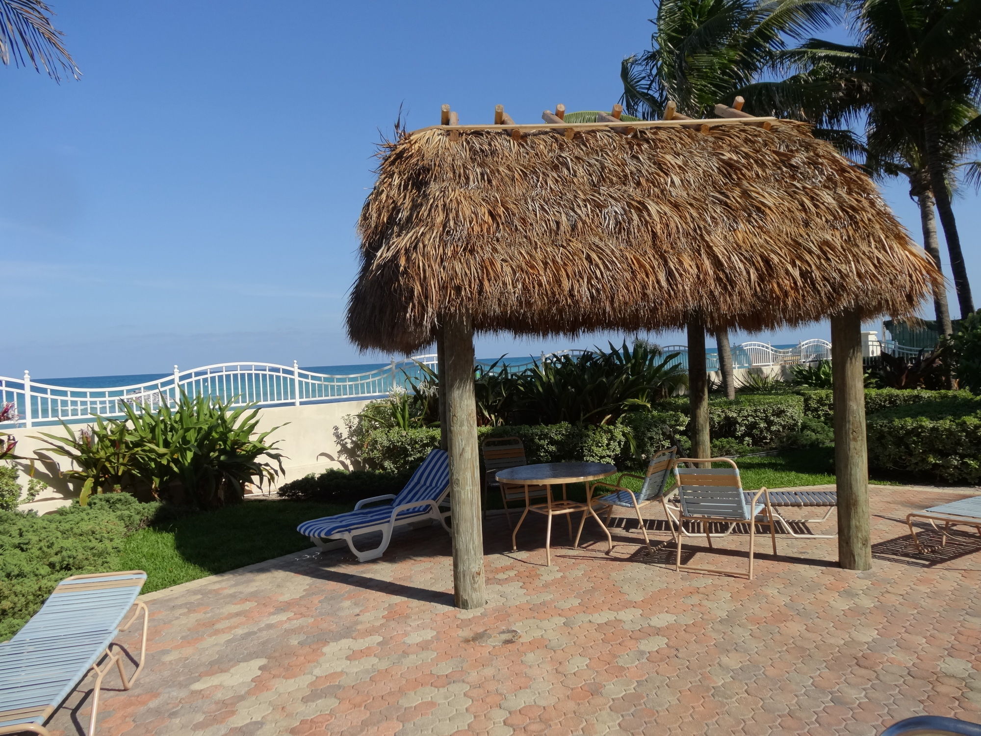 Фото Hollywood Condos