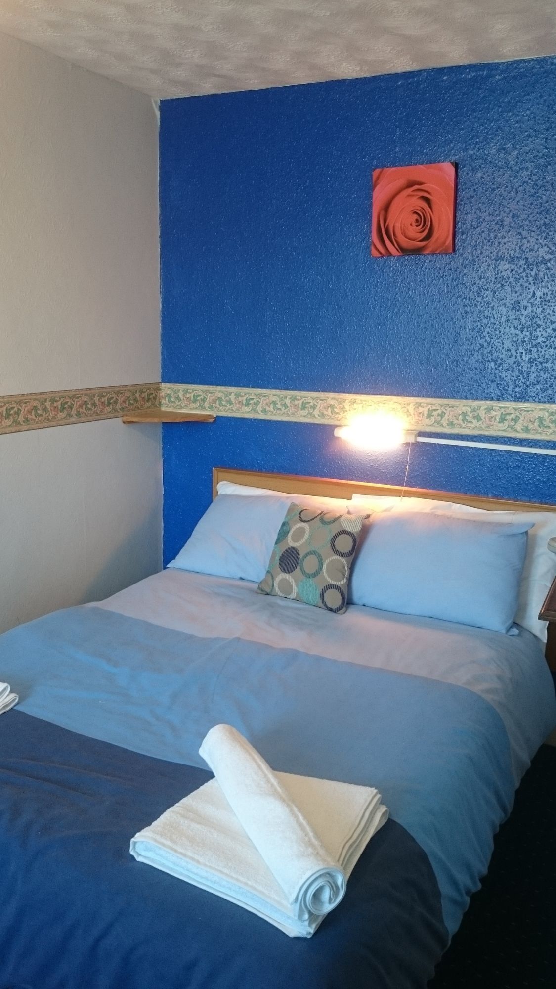 Фото Tulip Hotel