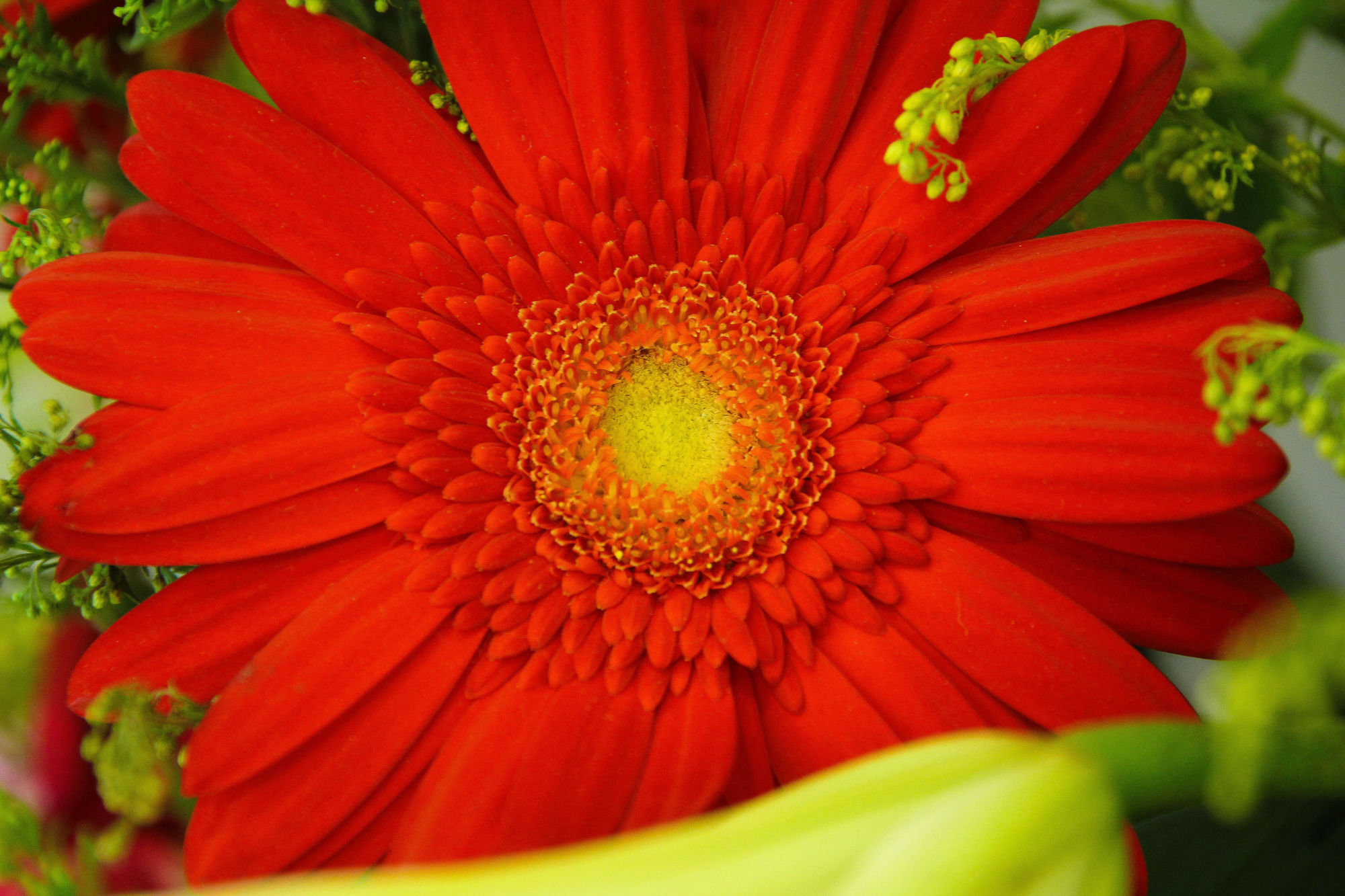 Фото Hotel Rasah Seremban