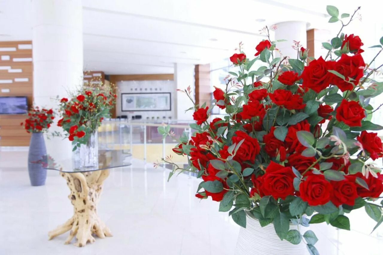 Фото High Castle Resort