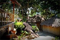 Фото Phi Phi Cozy Seafront Resort