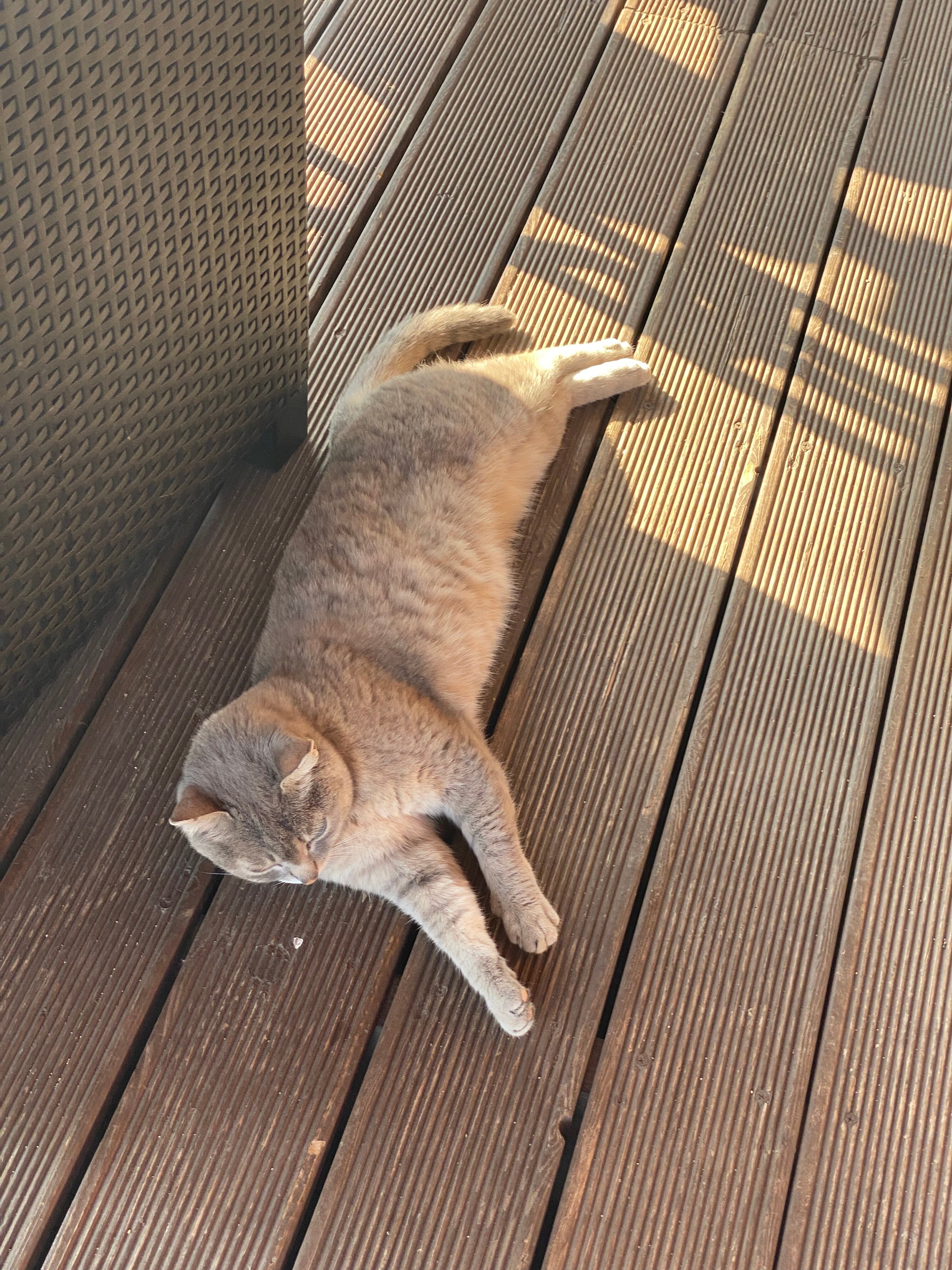 Фото Вдохновение