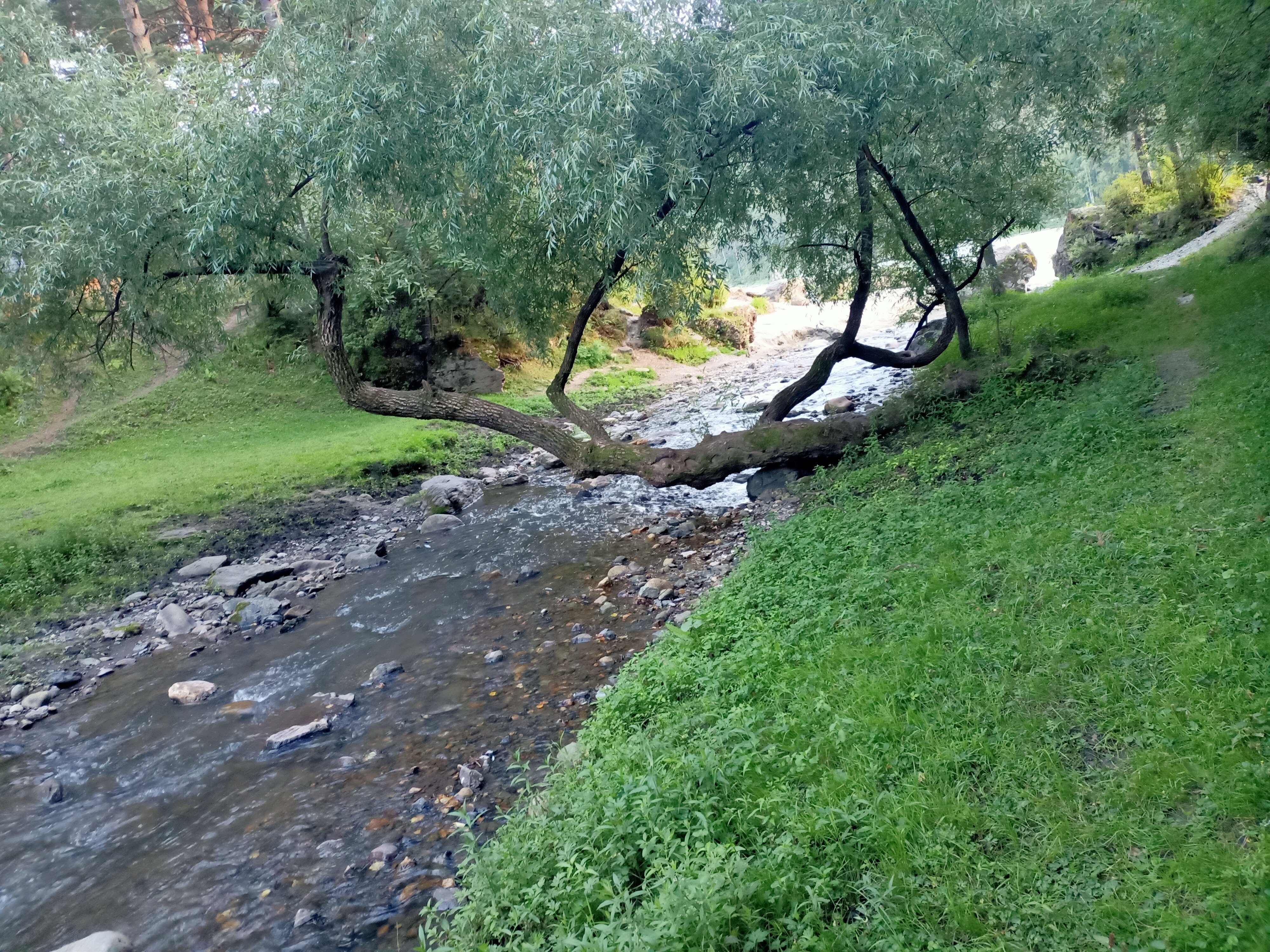 Фото Медведь и Ягодка